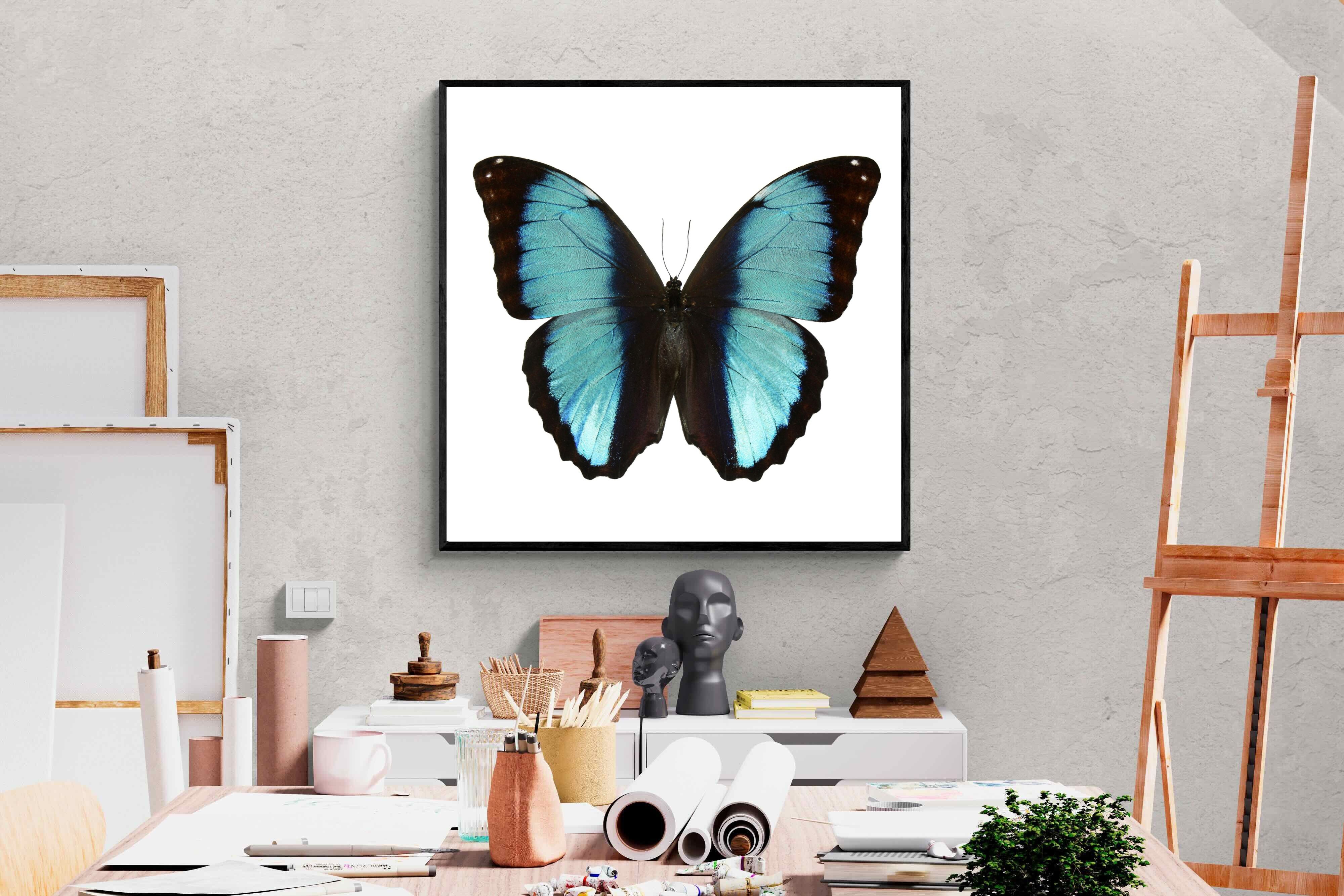 Pixalot Blue Morpho