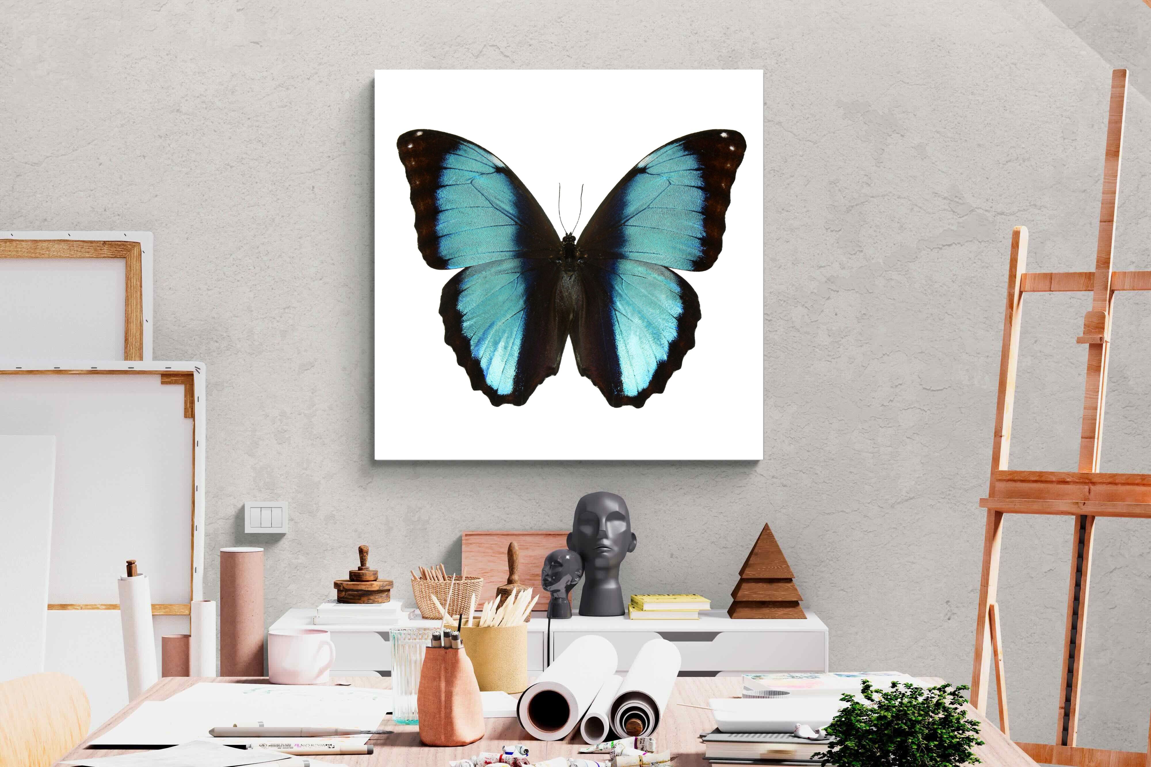 Pixalot Blue Morpho
