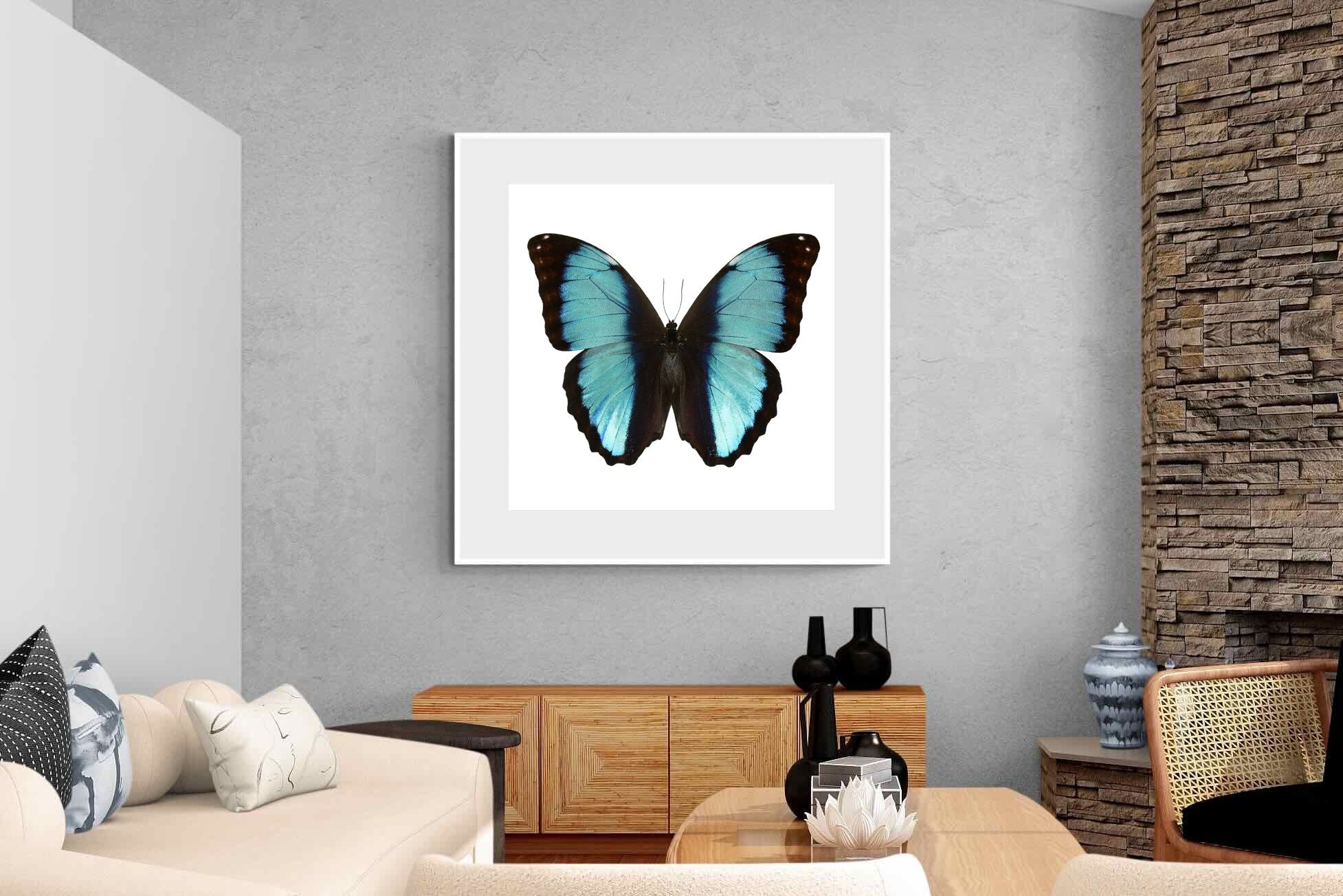 Pixalot Blue Morpho
