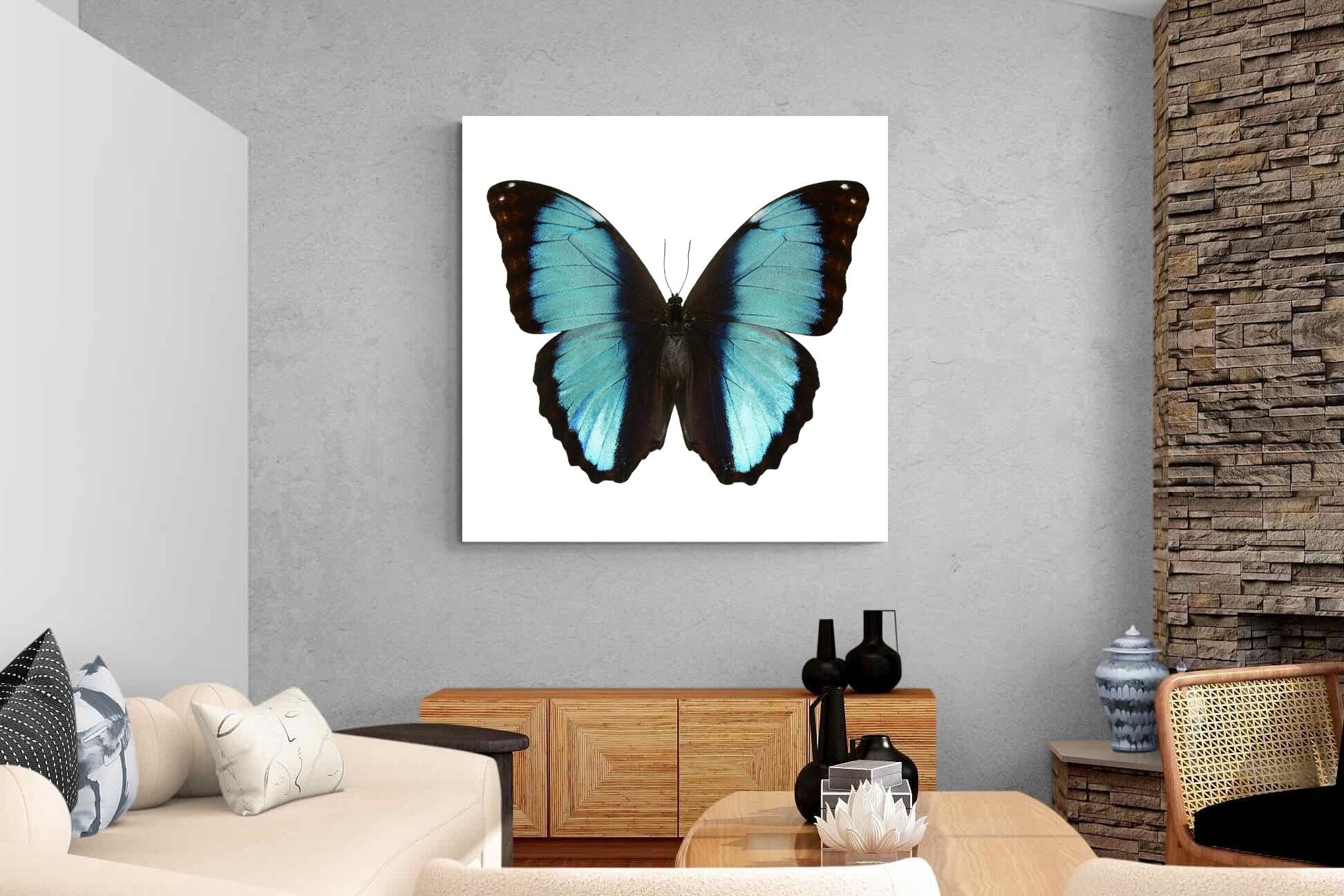 Pixalot Blue Morpho