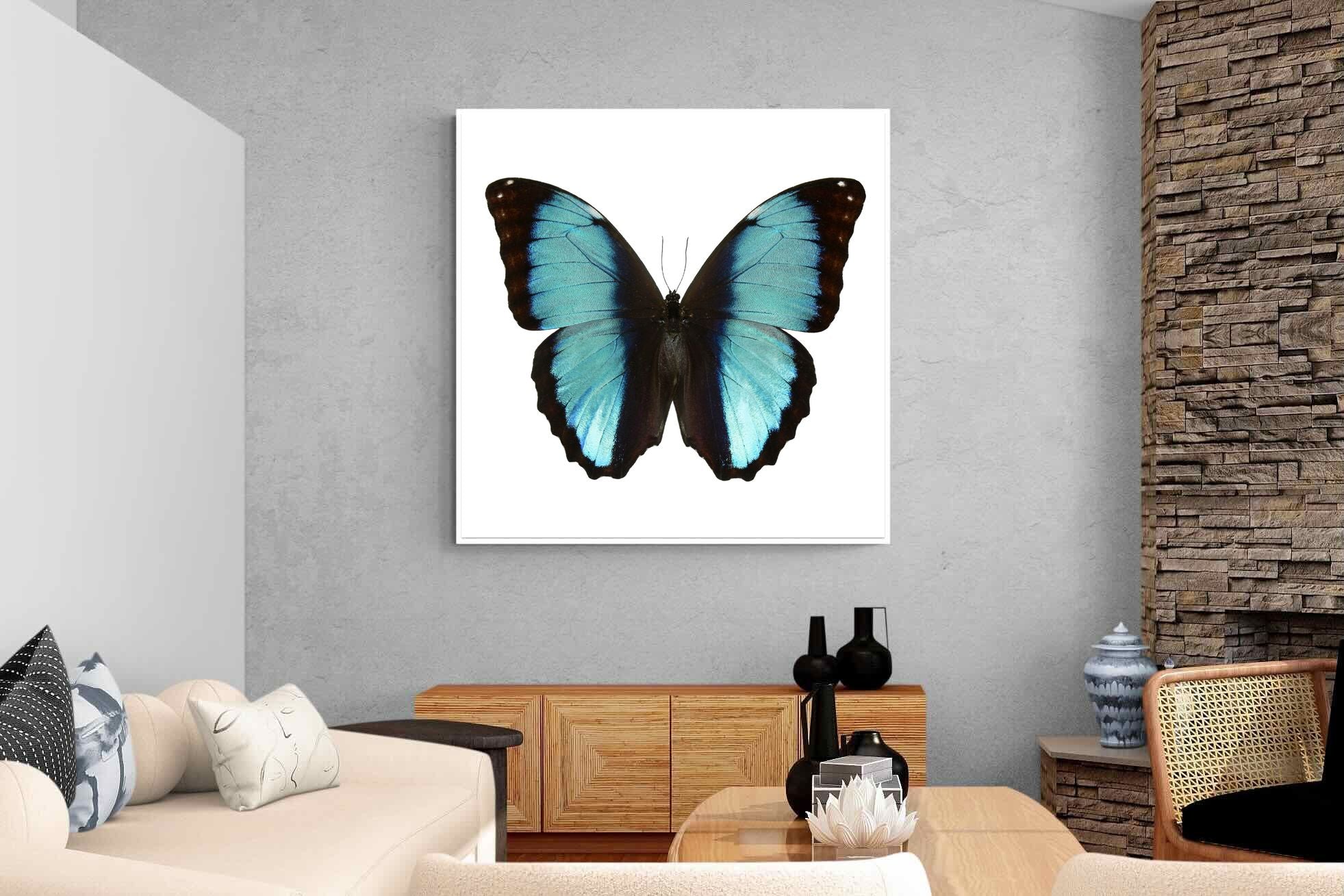 Pixalot Blue Morpho