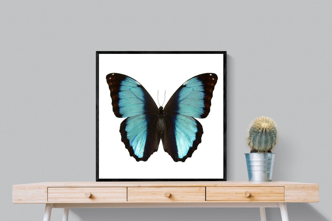 Pixalot Blue Morpho