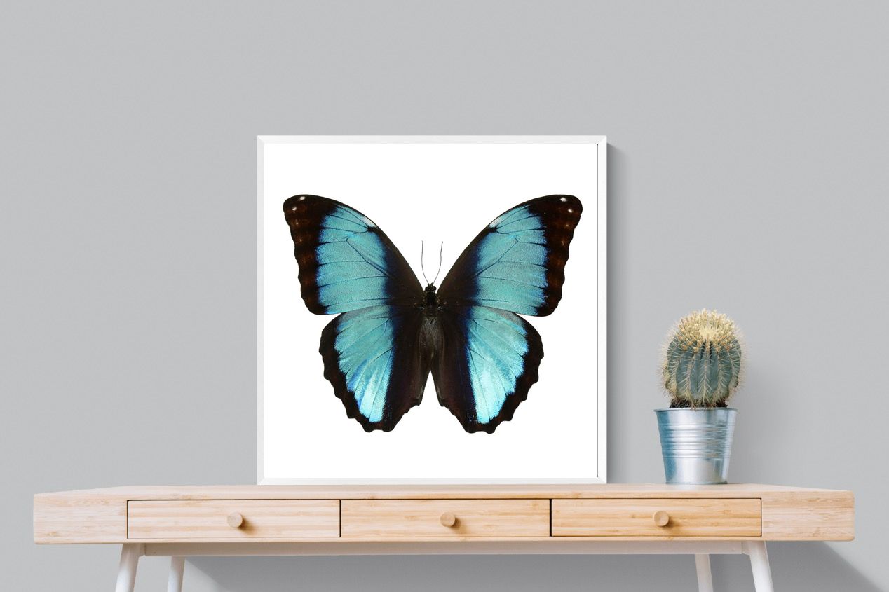 Pixalot Blue Morpho