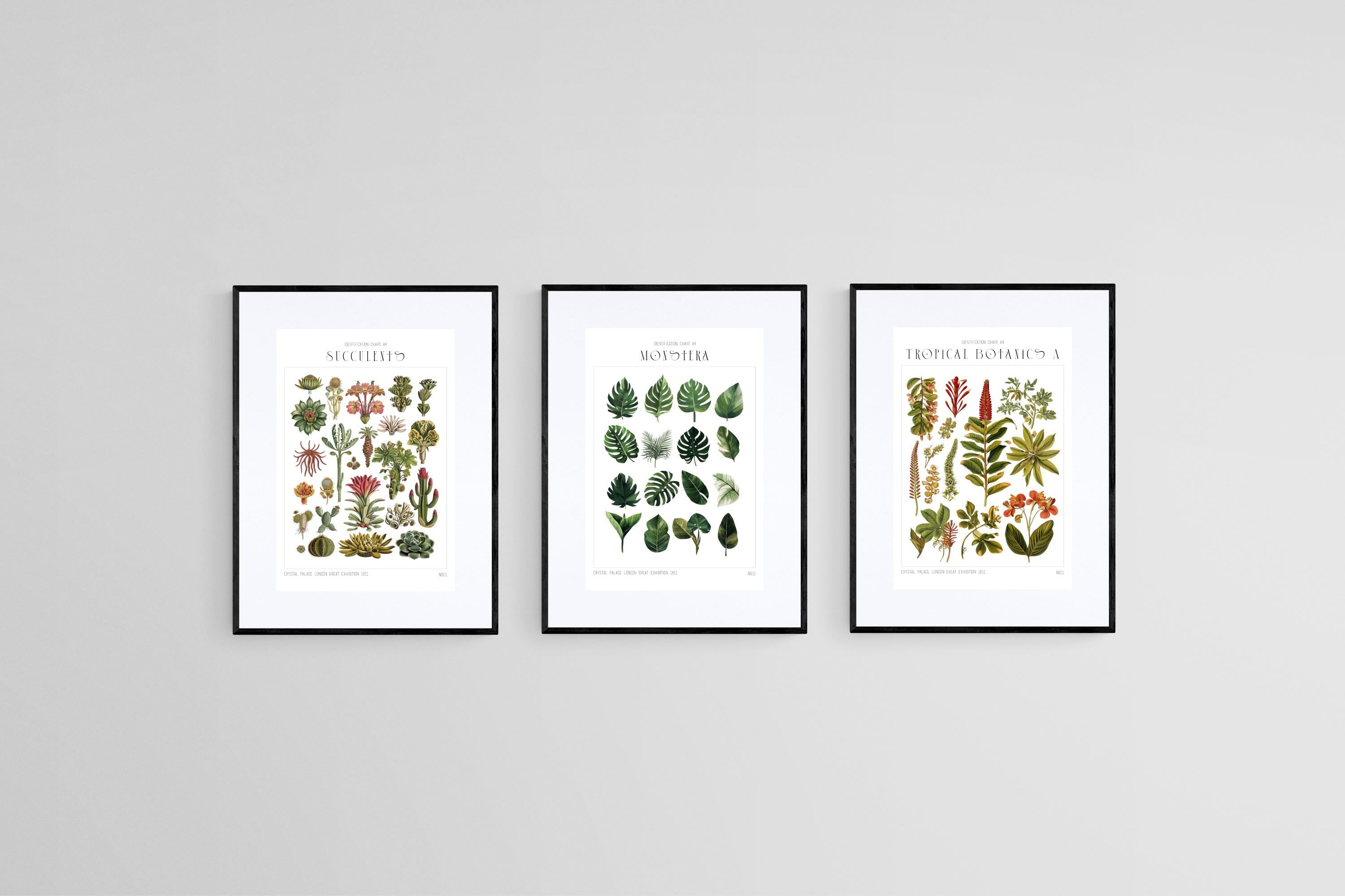 Botanical Collection Set