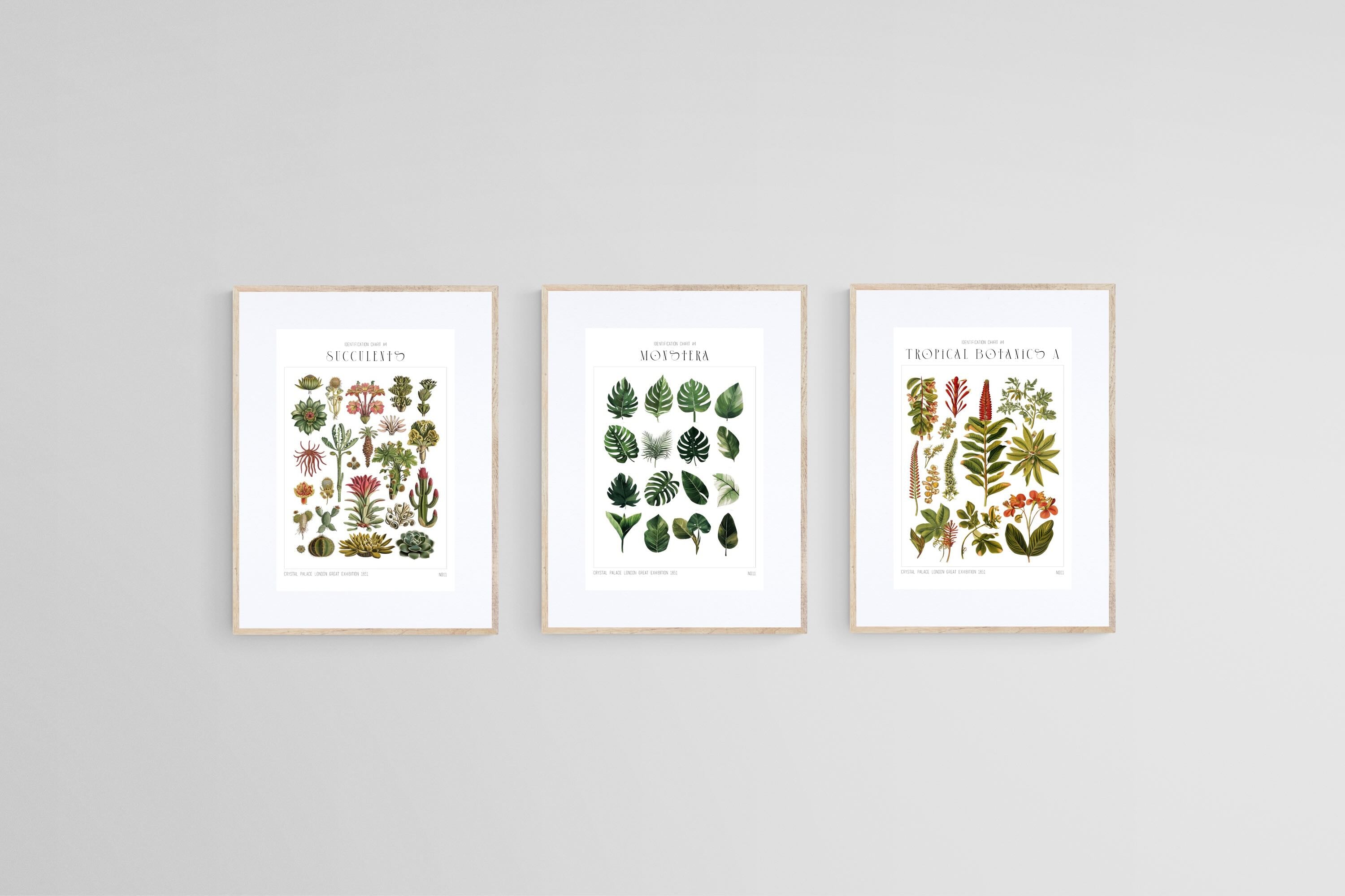Botanical Collection Set