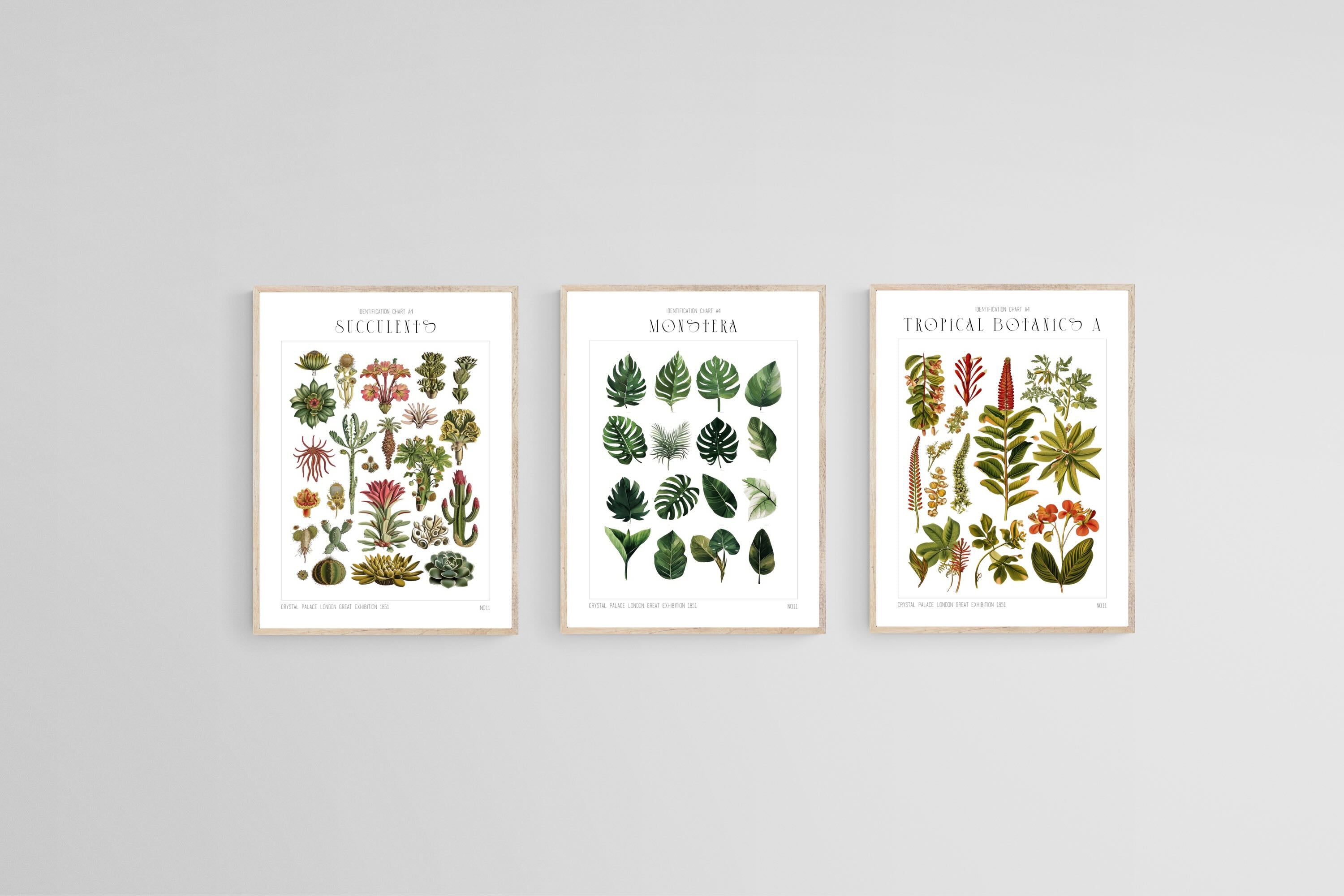 Botanical Collection Set