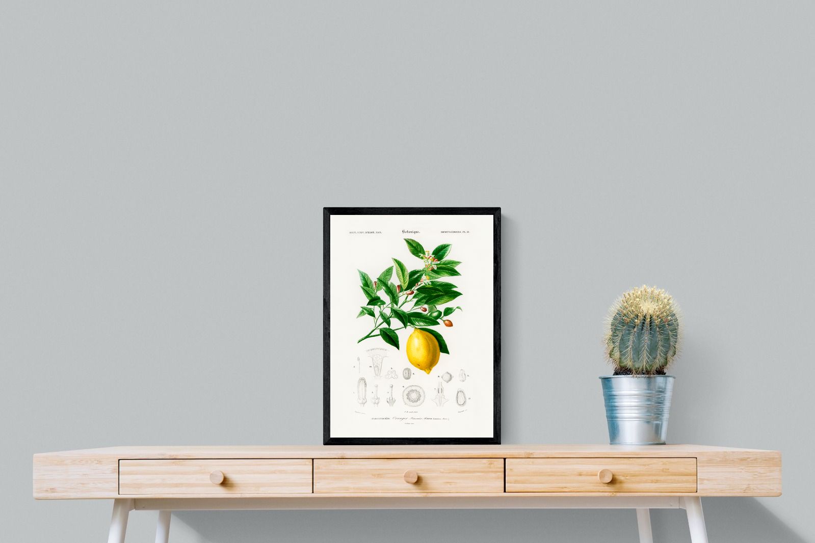 Pixalot Botanical Lemon