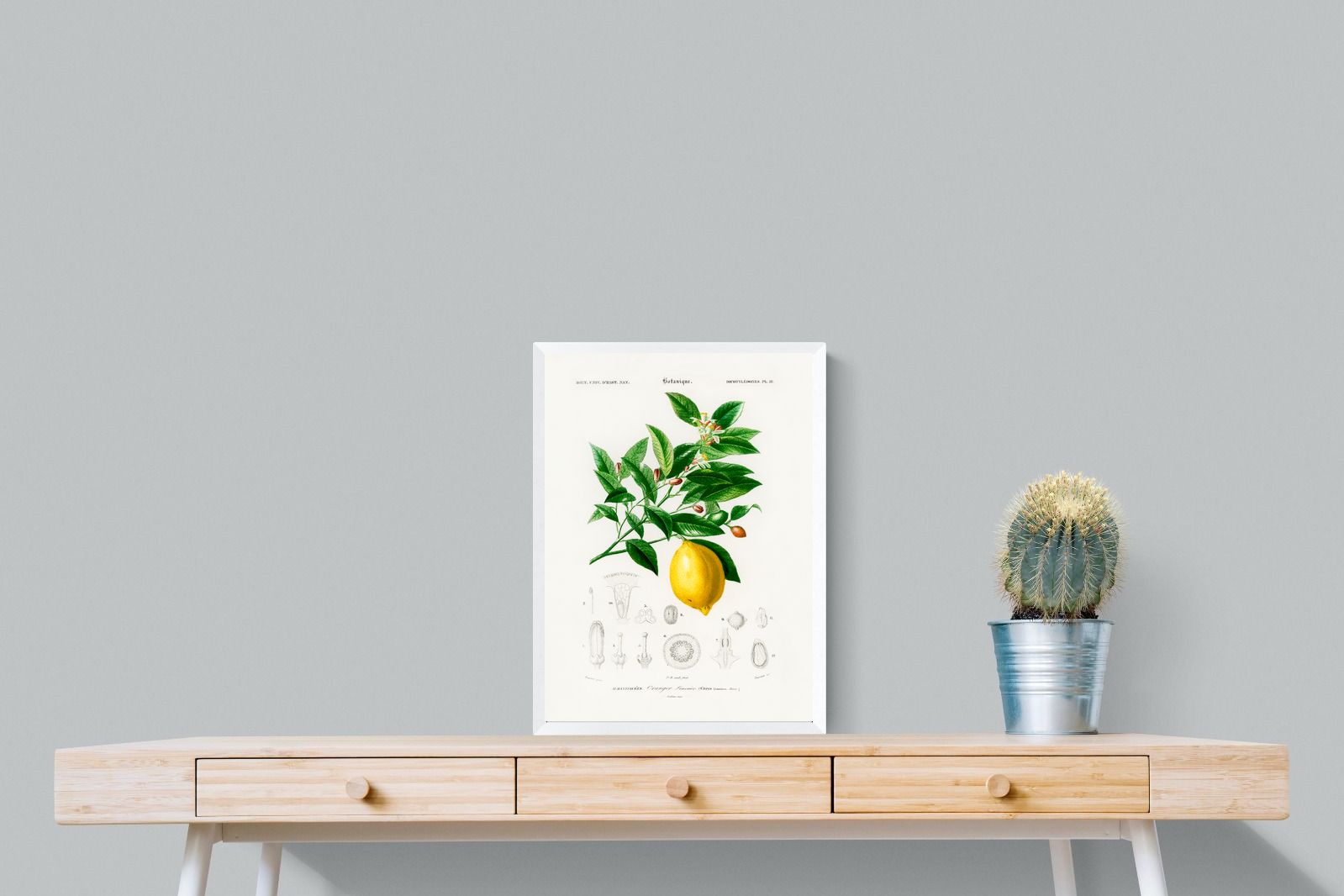 Pixalot Botanical Lemon