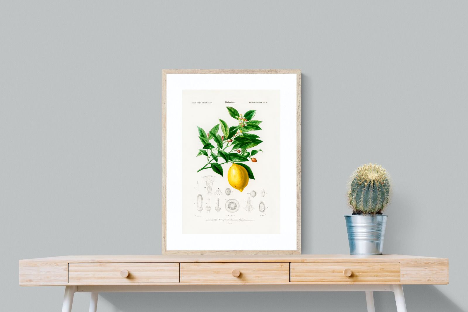Pixalot Botanical Lemon