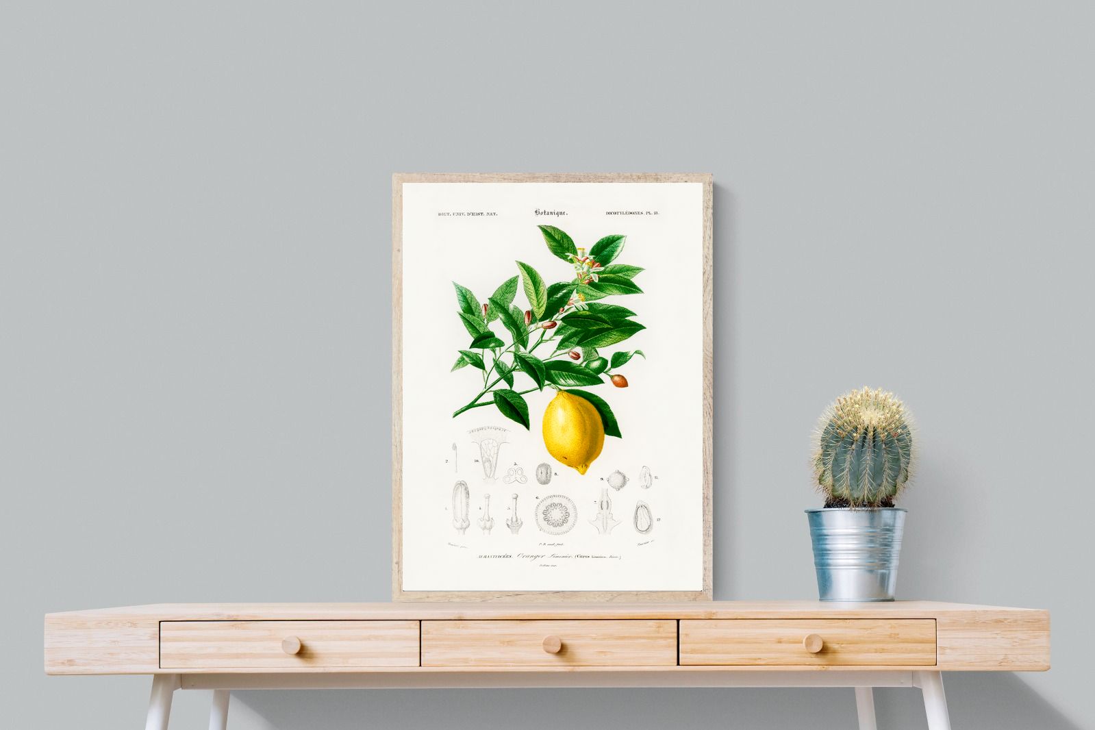 Pixalot Botanical Lemon