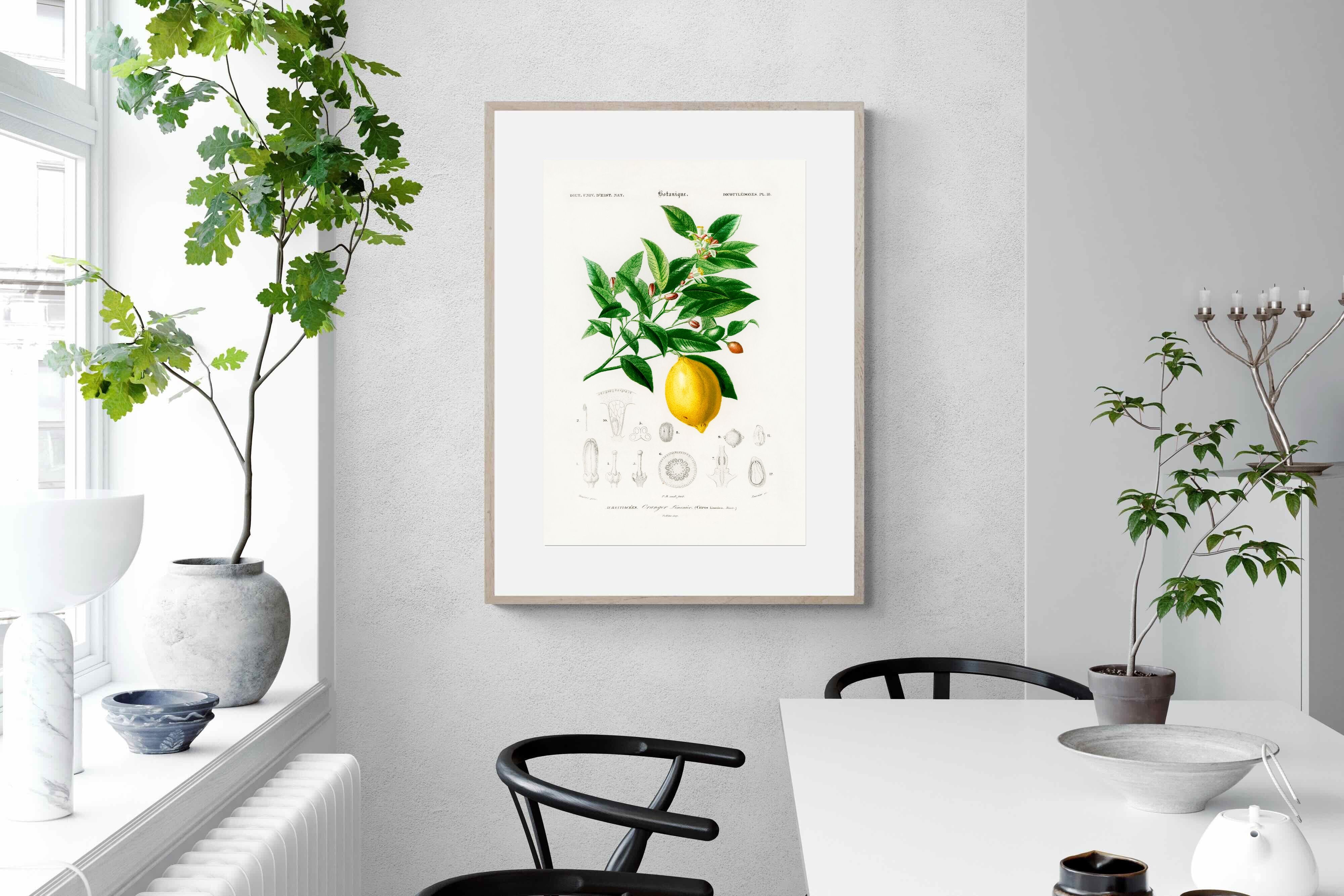 Pixalot Botanical Lemon