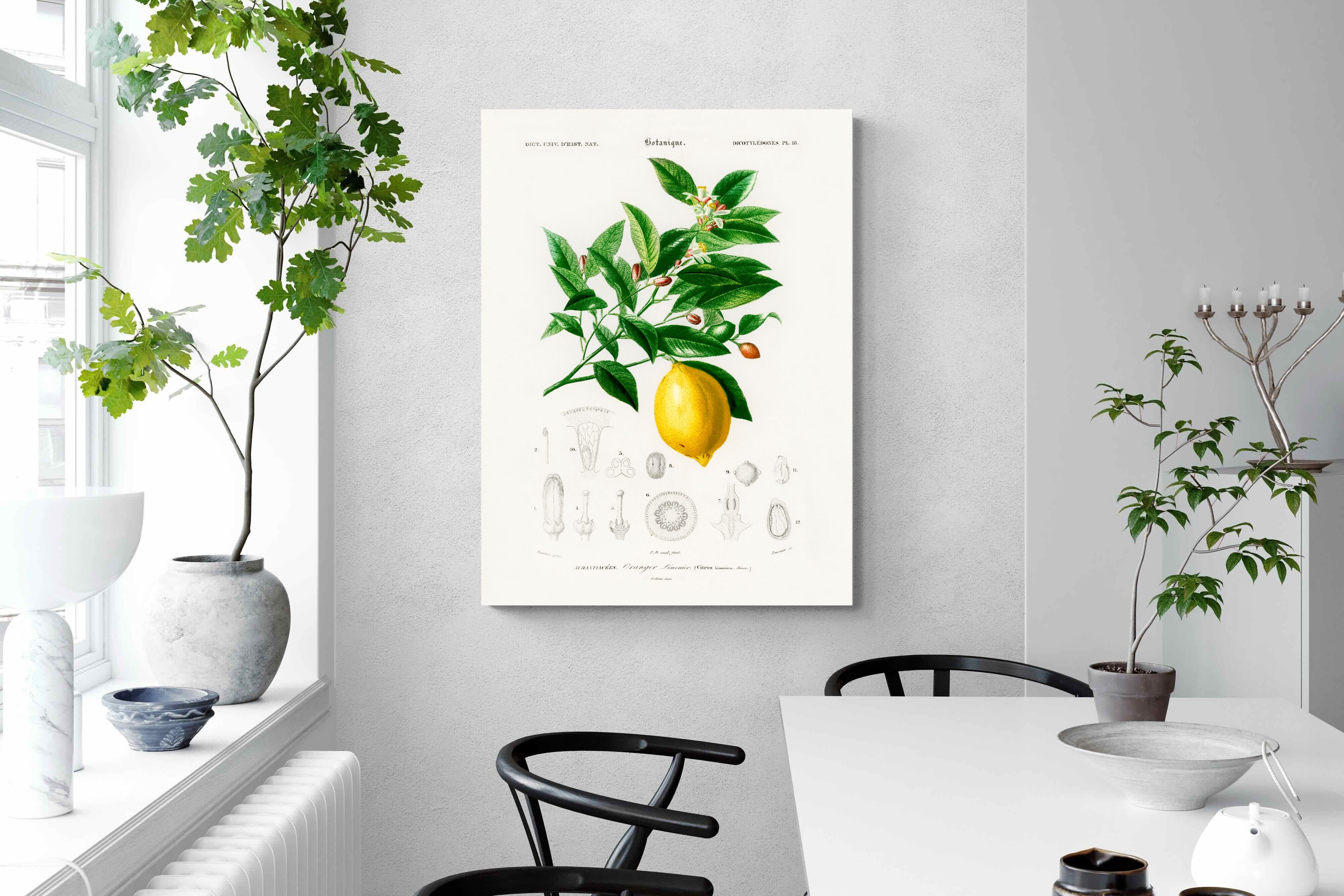 Pixalot Botanical Lemon