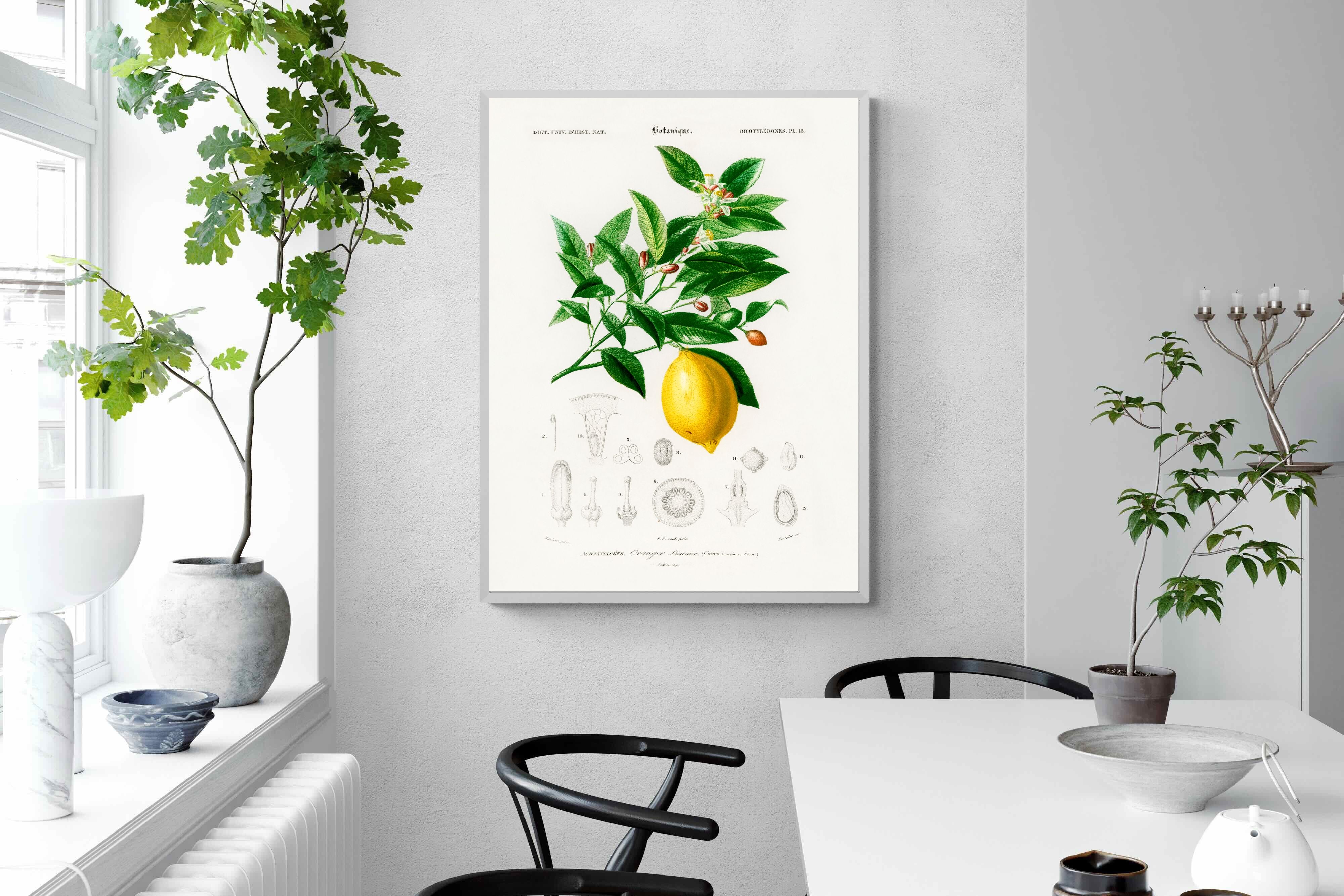 Pixalot Botanical Lemon