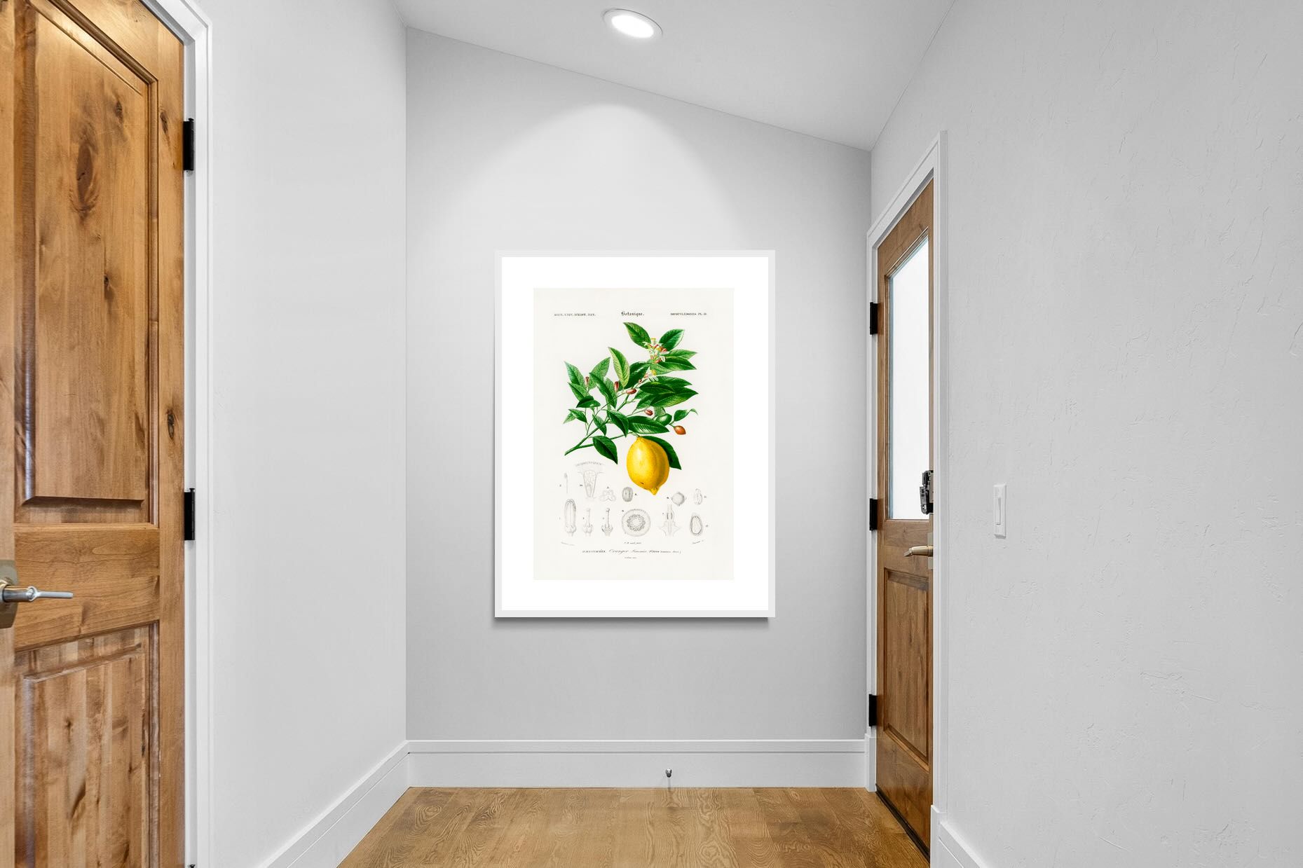 Pixalot Botanical Lemon