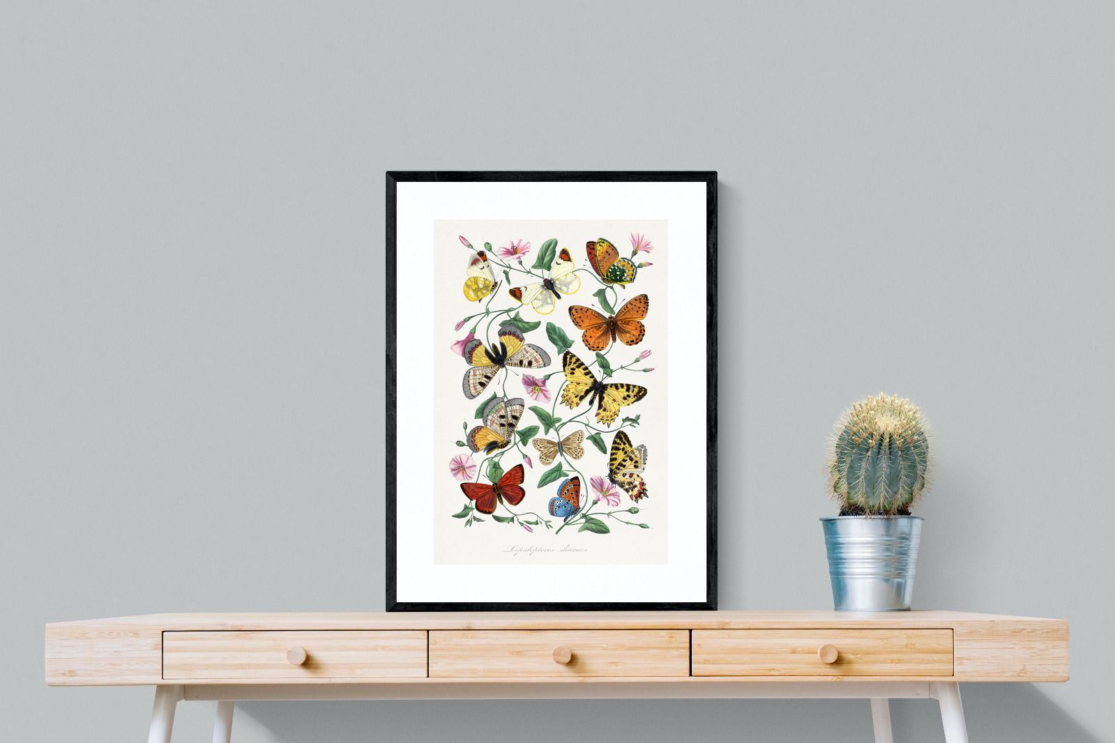 Pixalot Botanical Lepidoptera