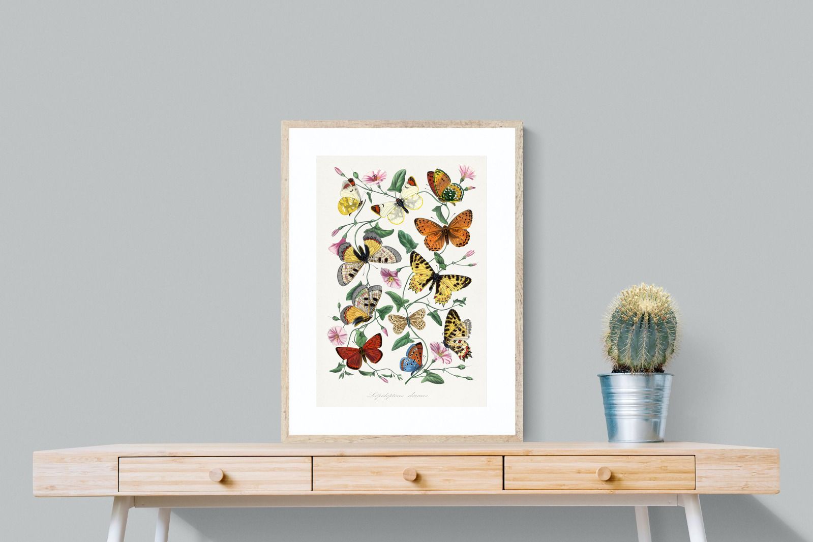 Pixalot Botanical Lepidoptera