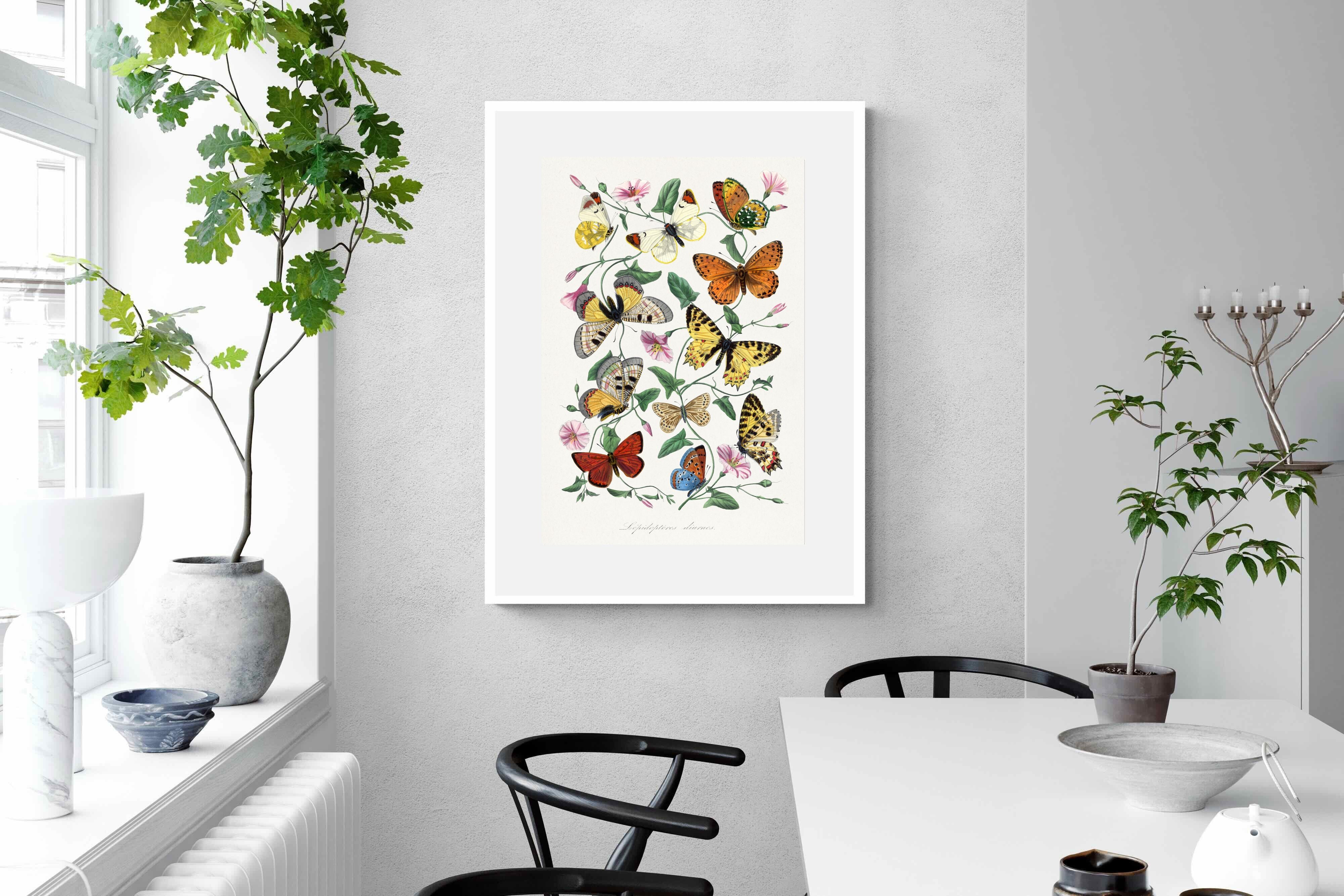 Pixalot Botanical Lepidoptera