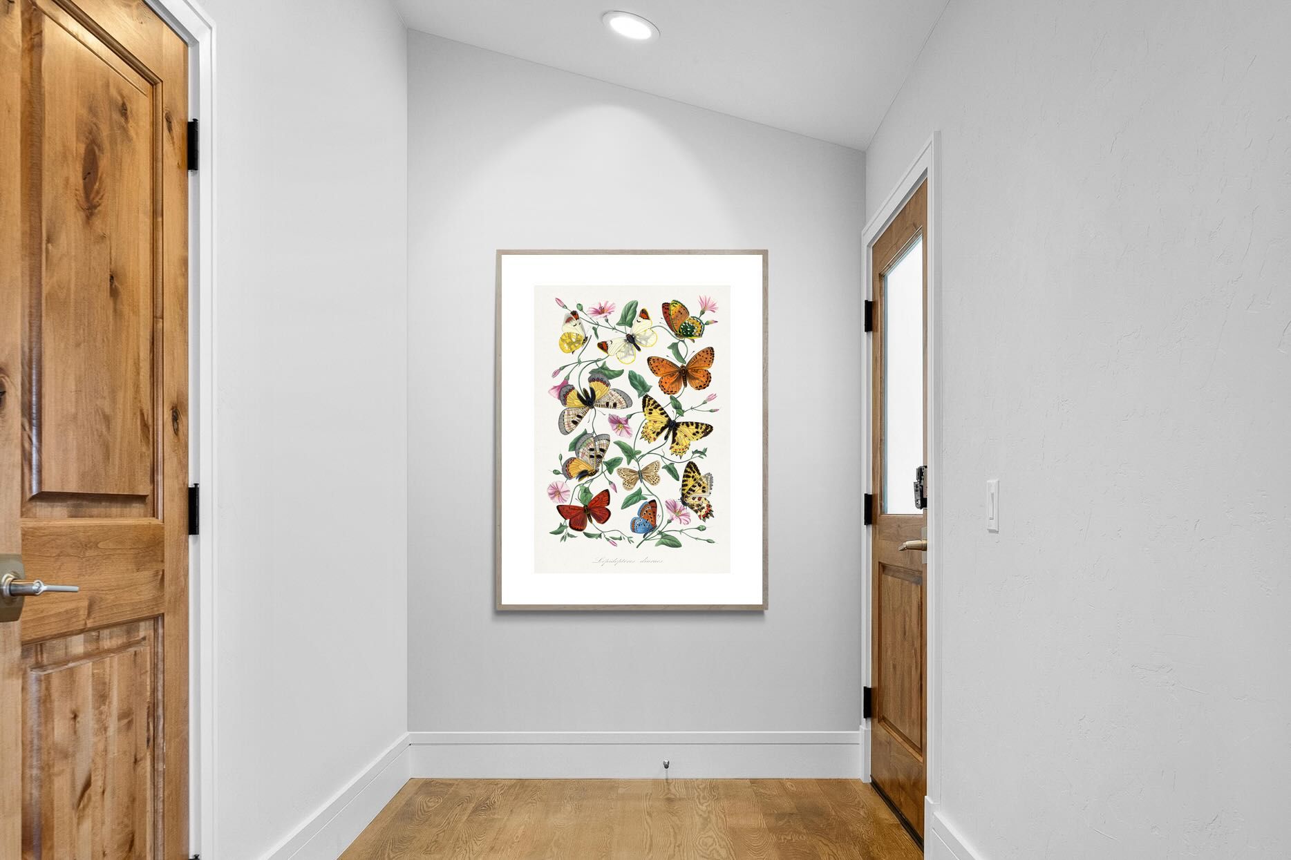 Pixalot Botanical Lepidoptera