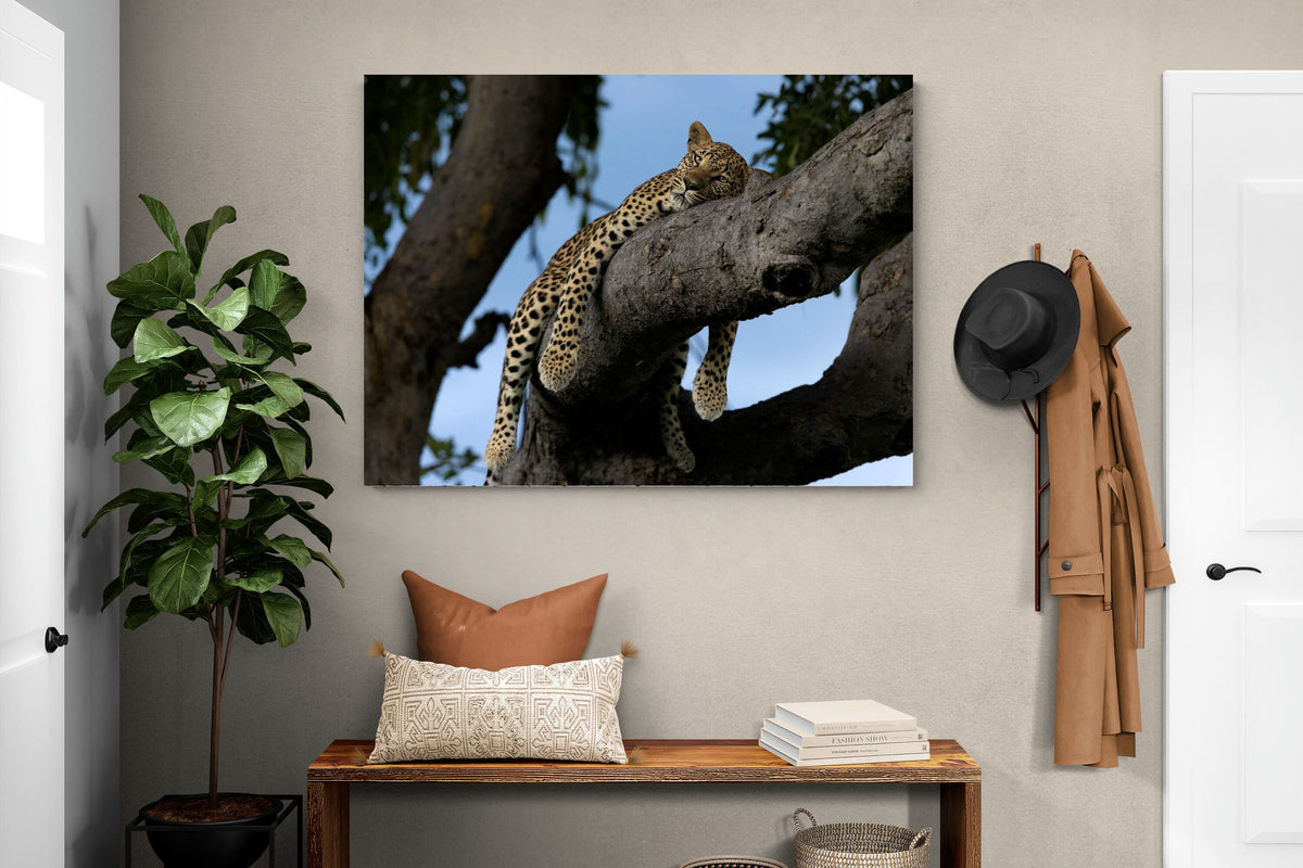 Pixalot ® Branch Lounge