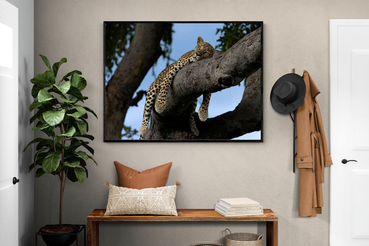 Pixalot ® Branch Lounge
