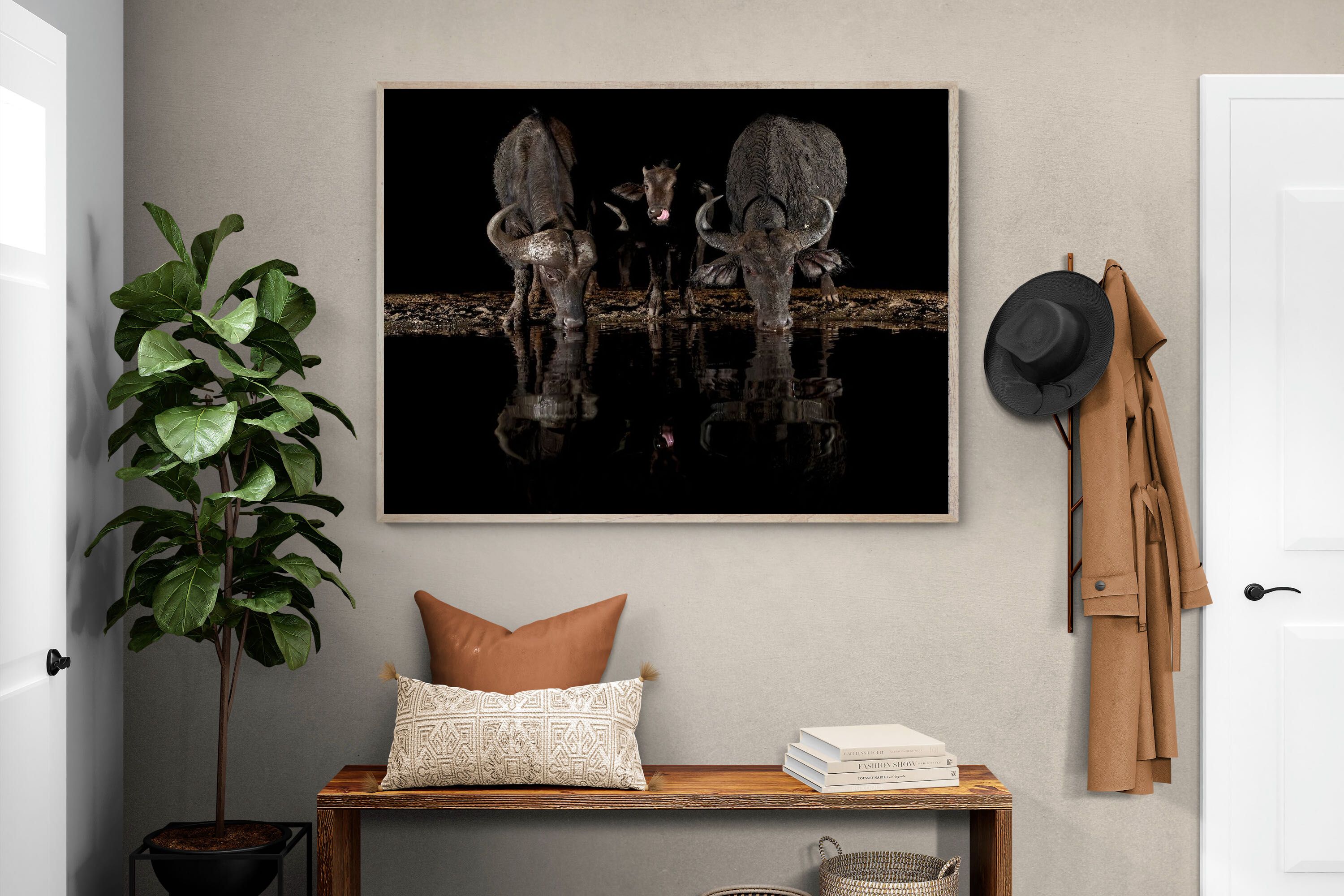 Pixalot Buffalo Family