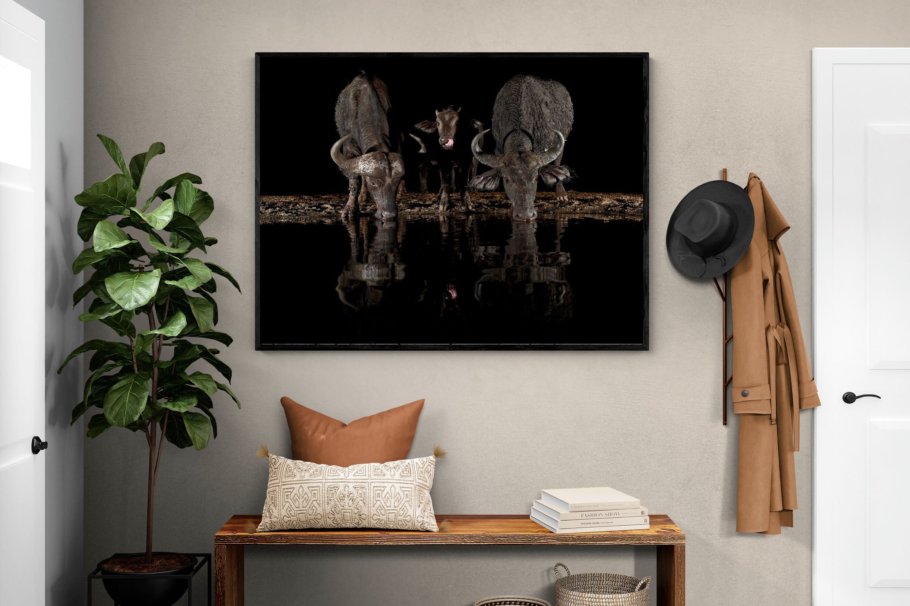 Pixalot Buffalo Family