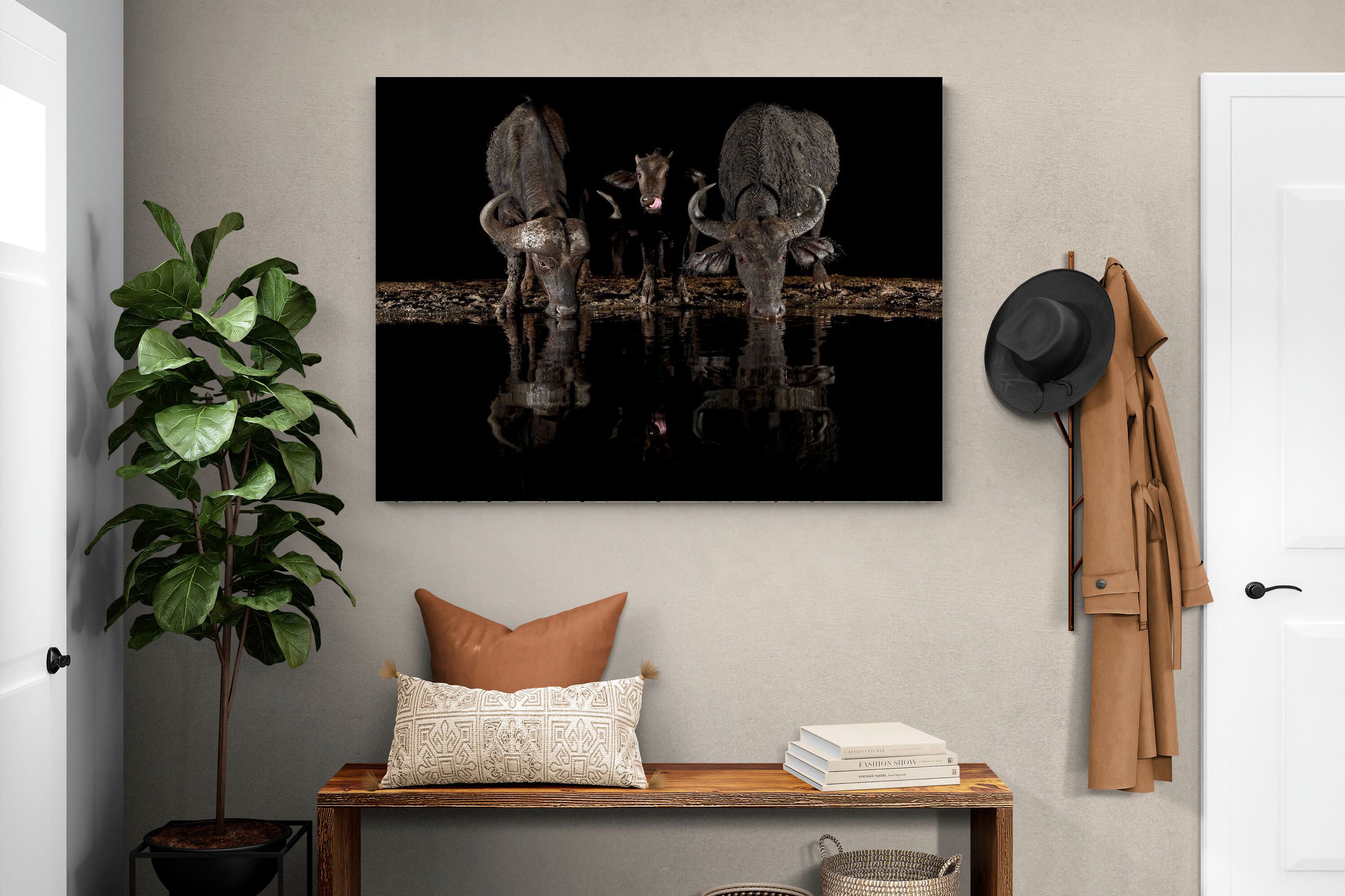 Pixalot Buffalo Family