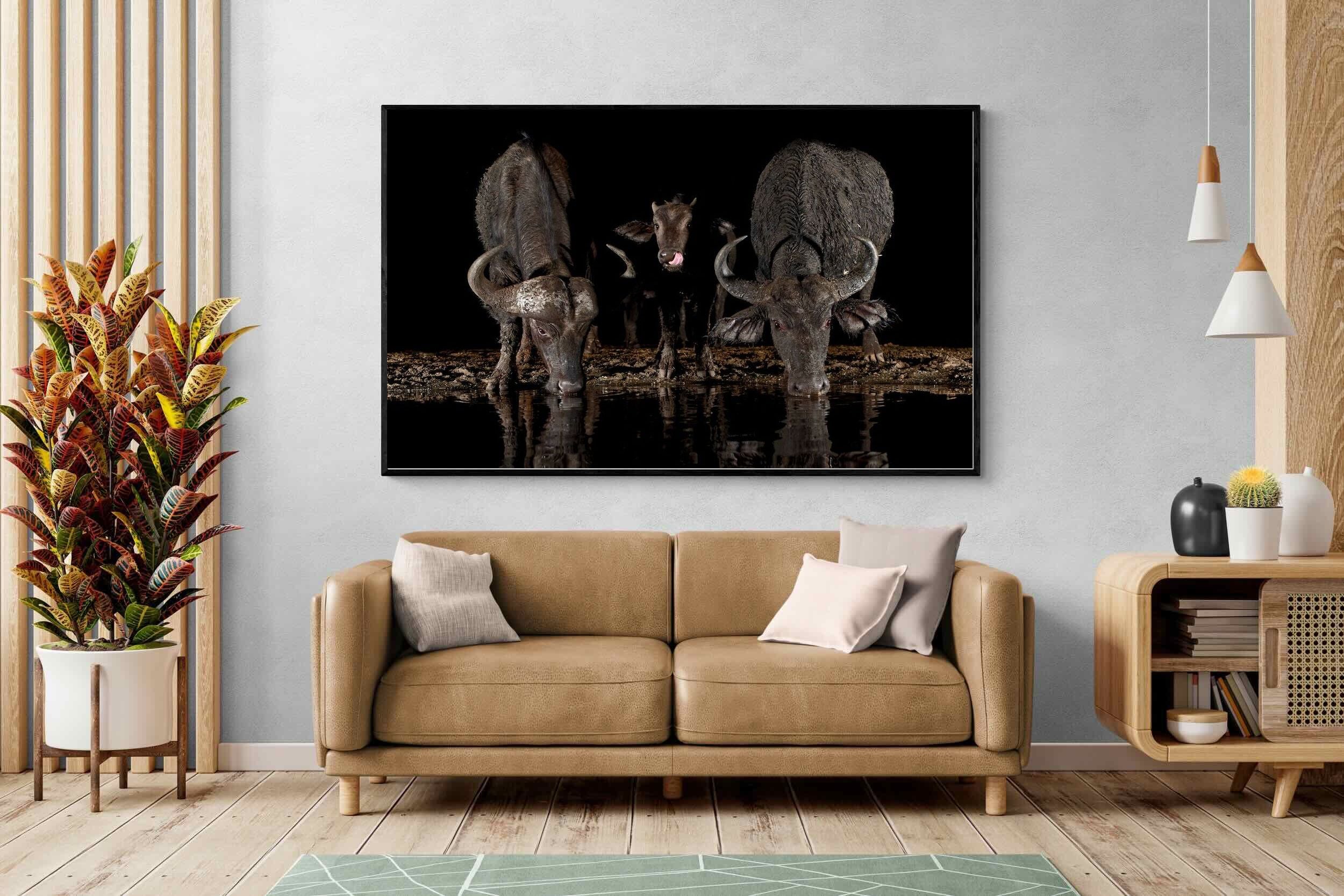 Pixalot Buffalo Family