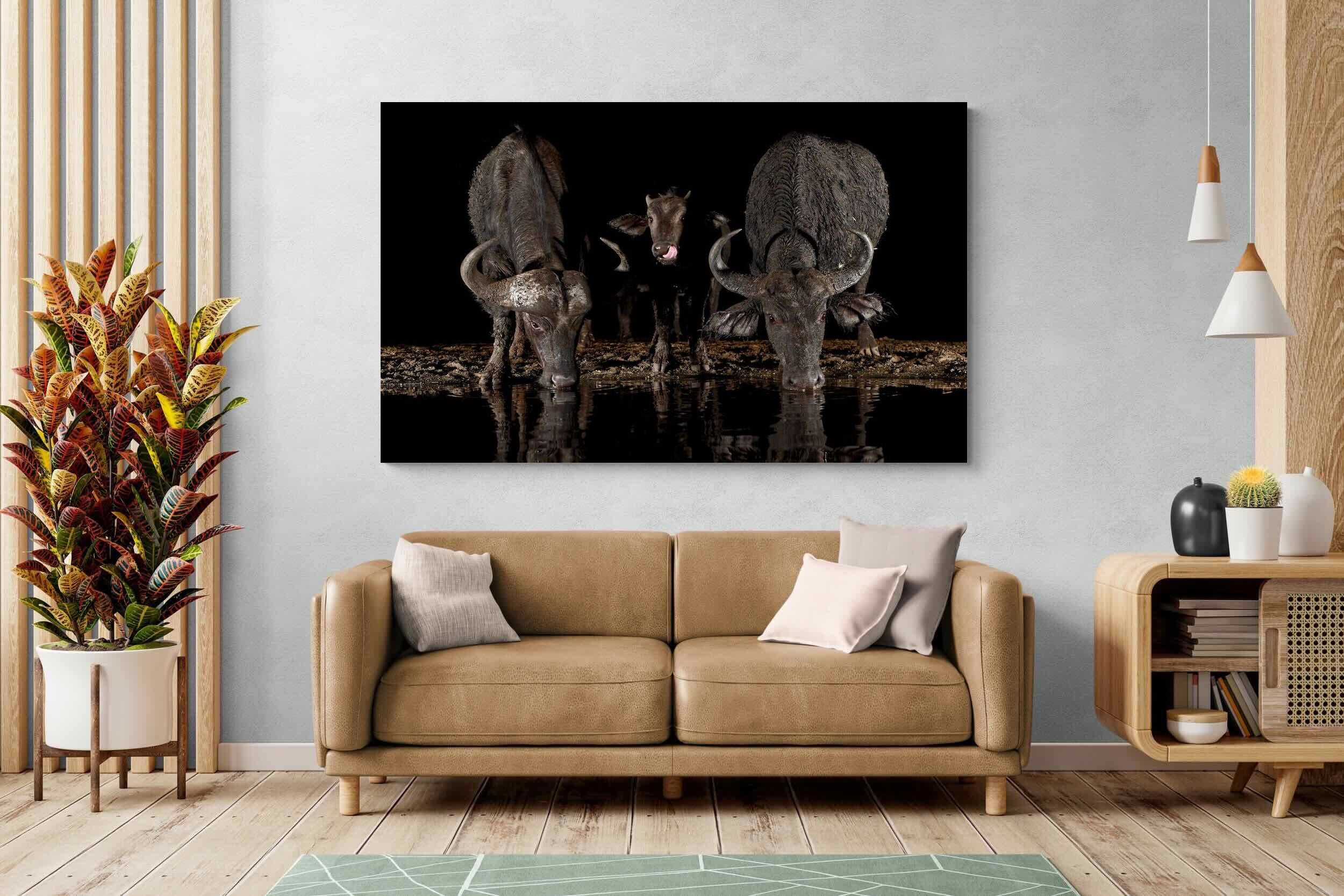 Pixalot Buffalo Family