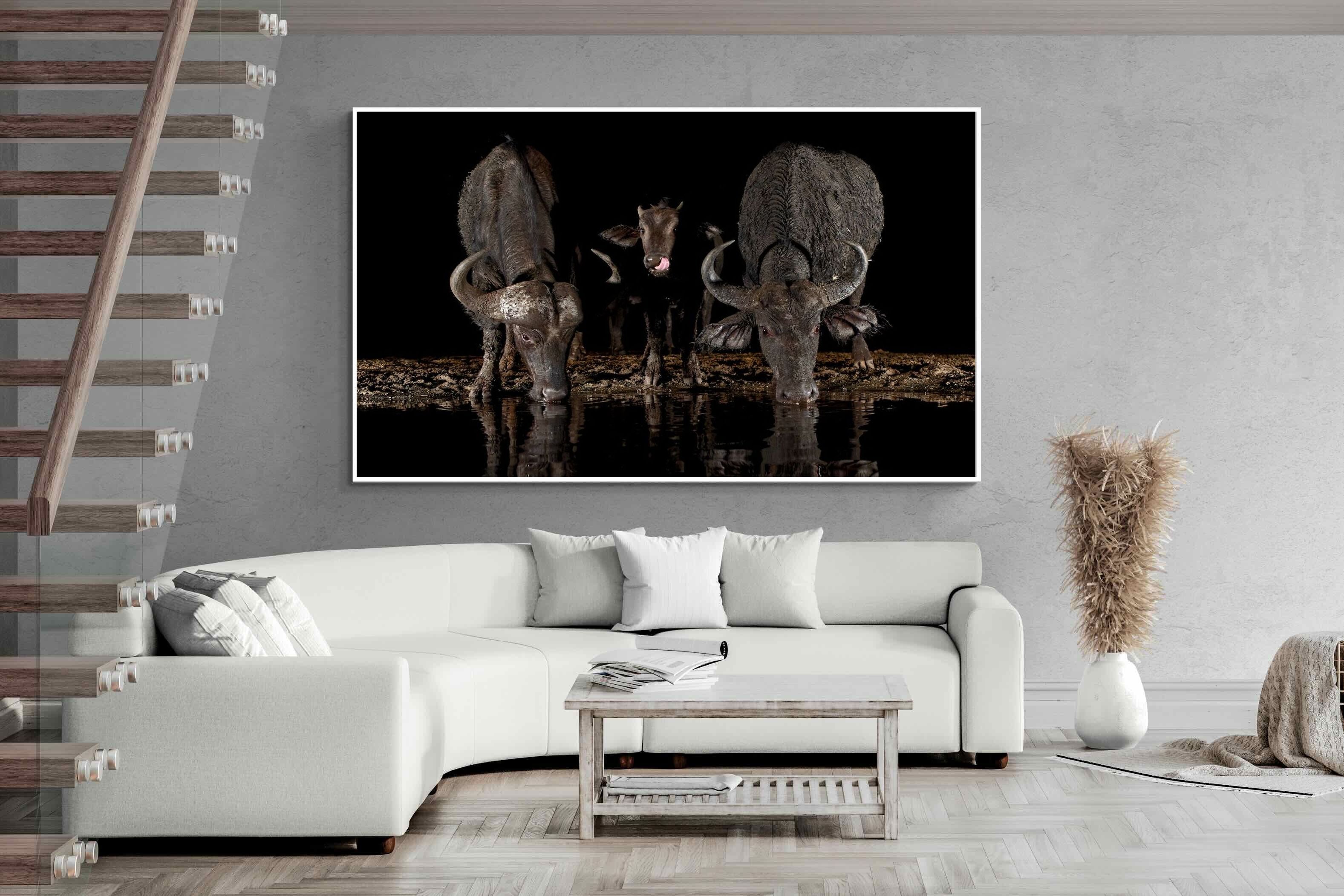 Pixalot Buffalo Family