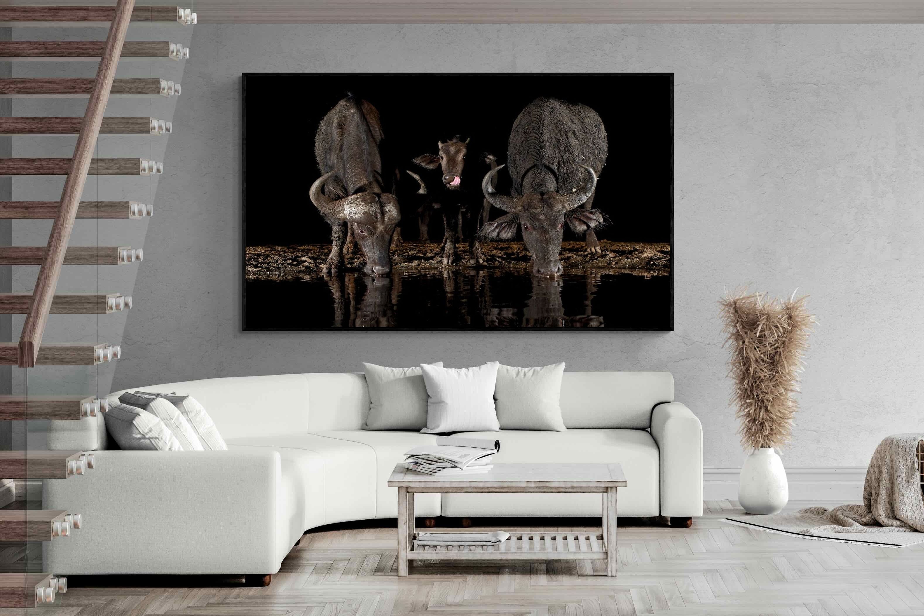 Pixalot Buffalo Family