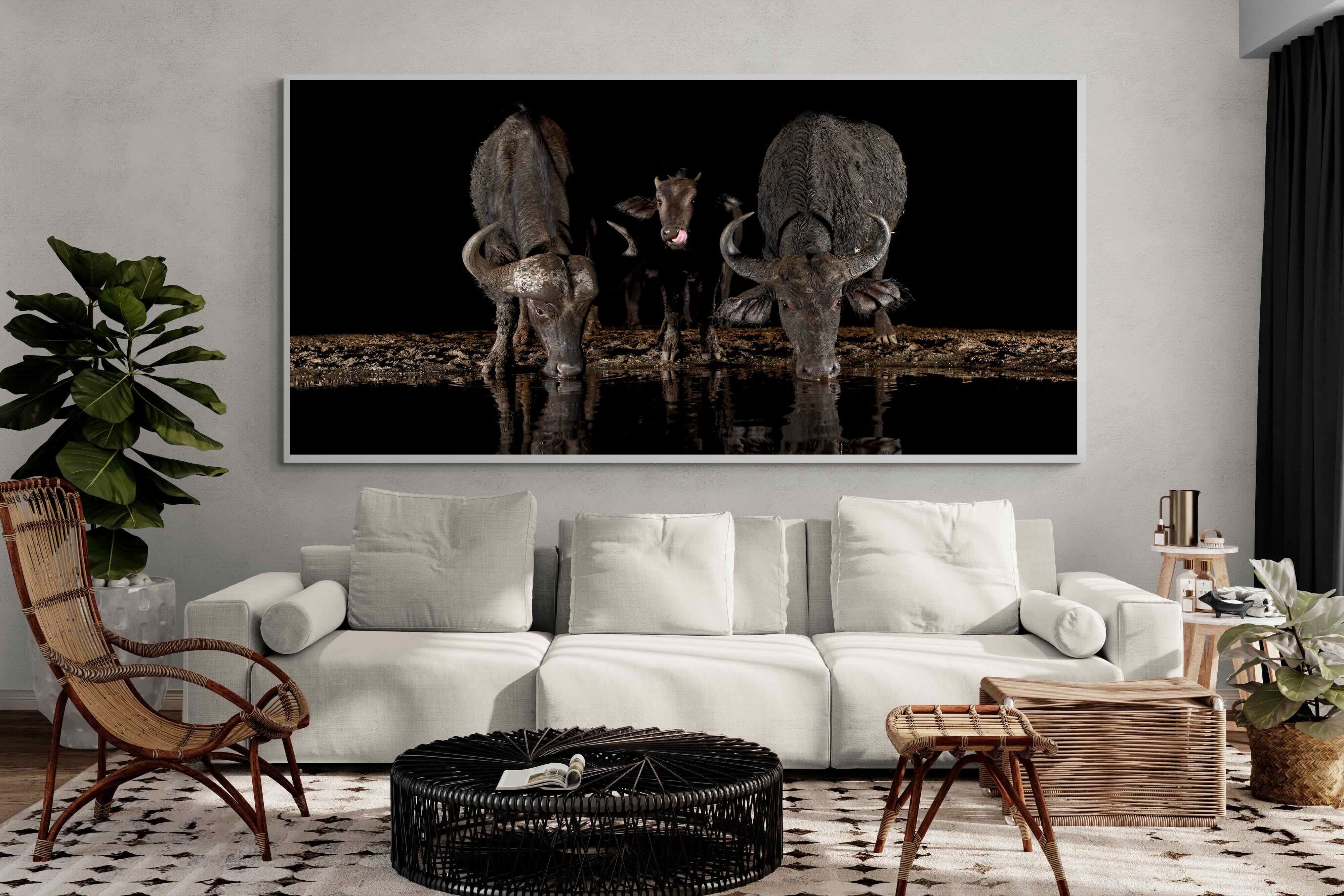 Pixalot Buffalo Family