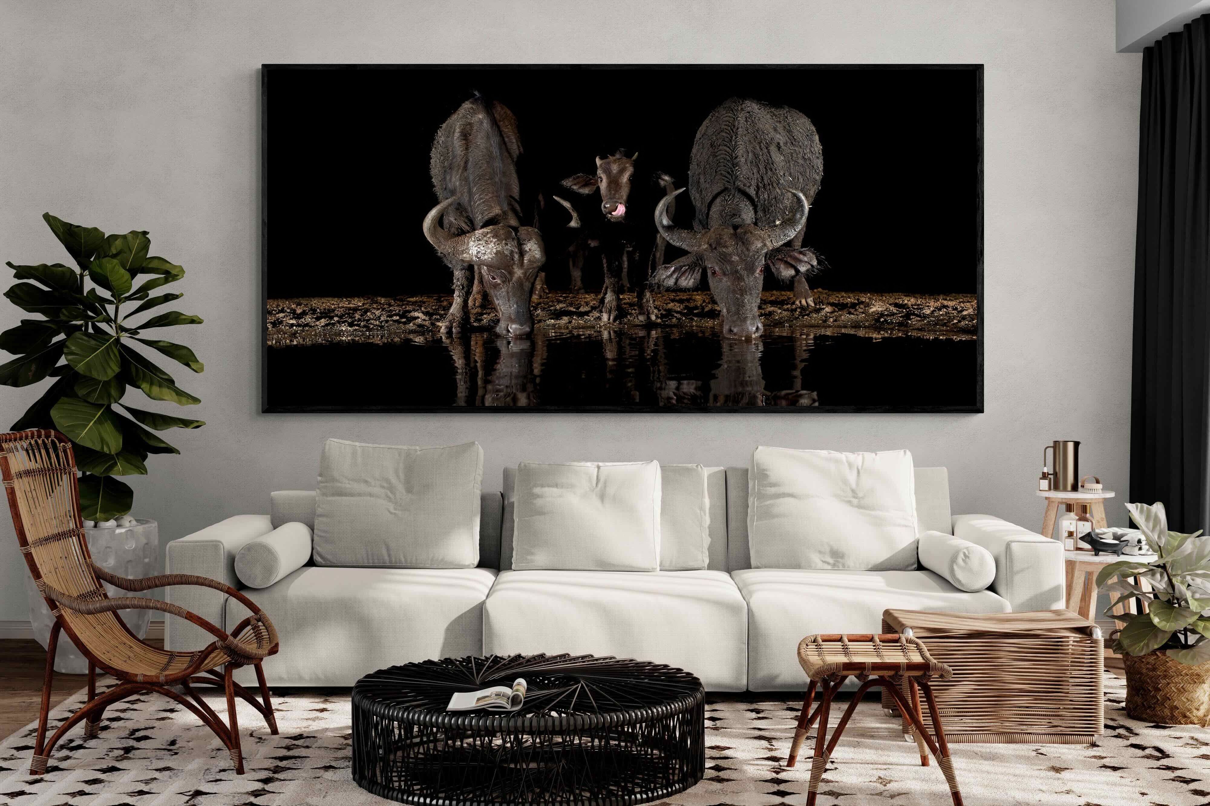 Pixalot Buffalo Family