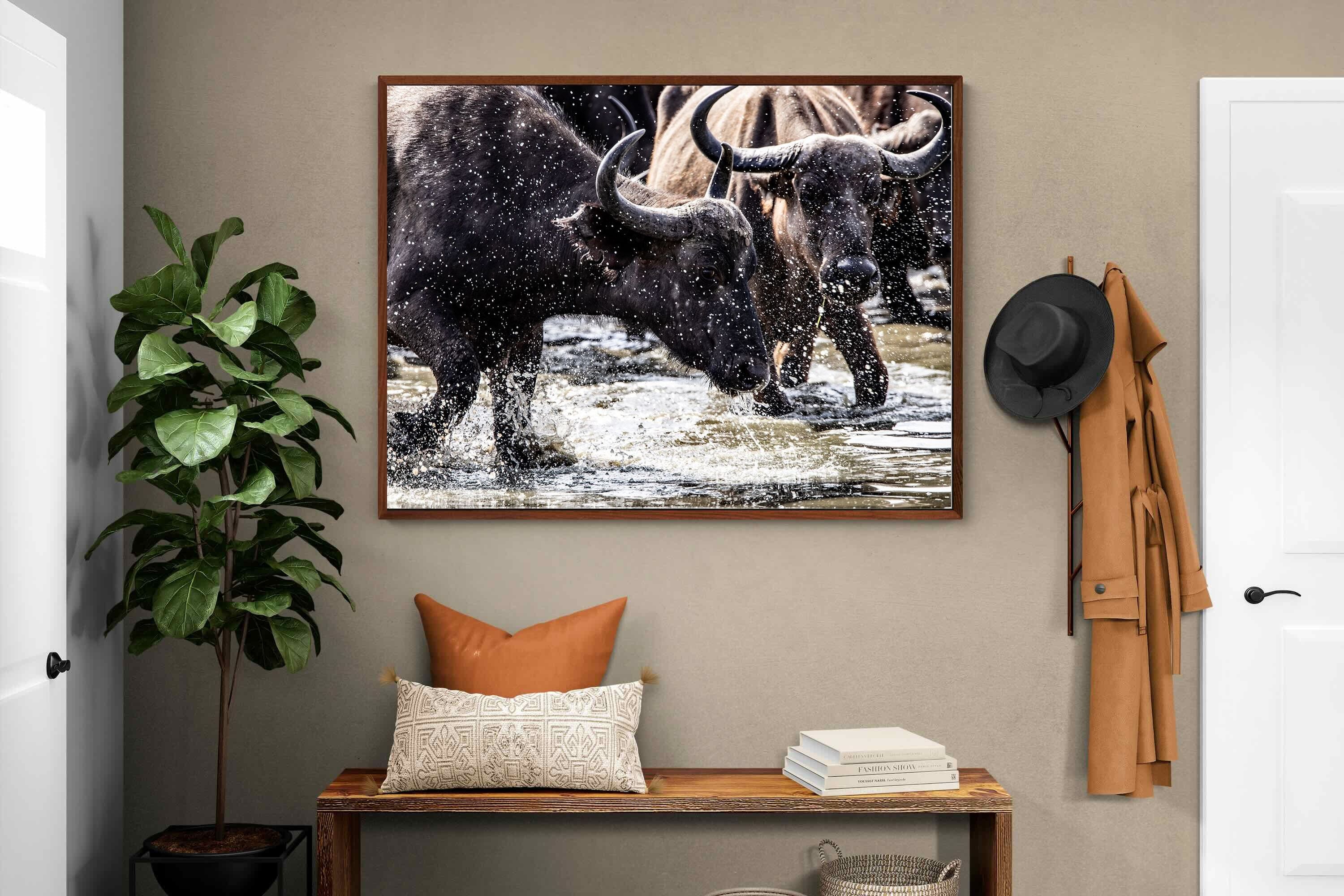 Pixalot Buffalo Splash