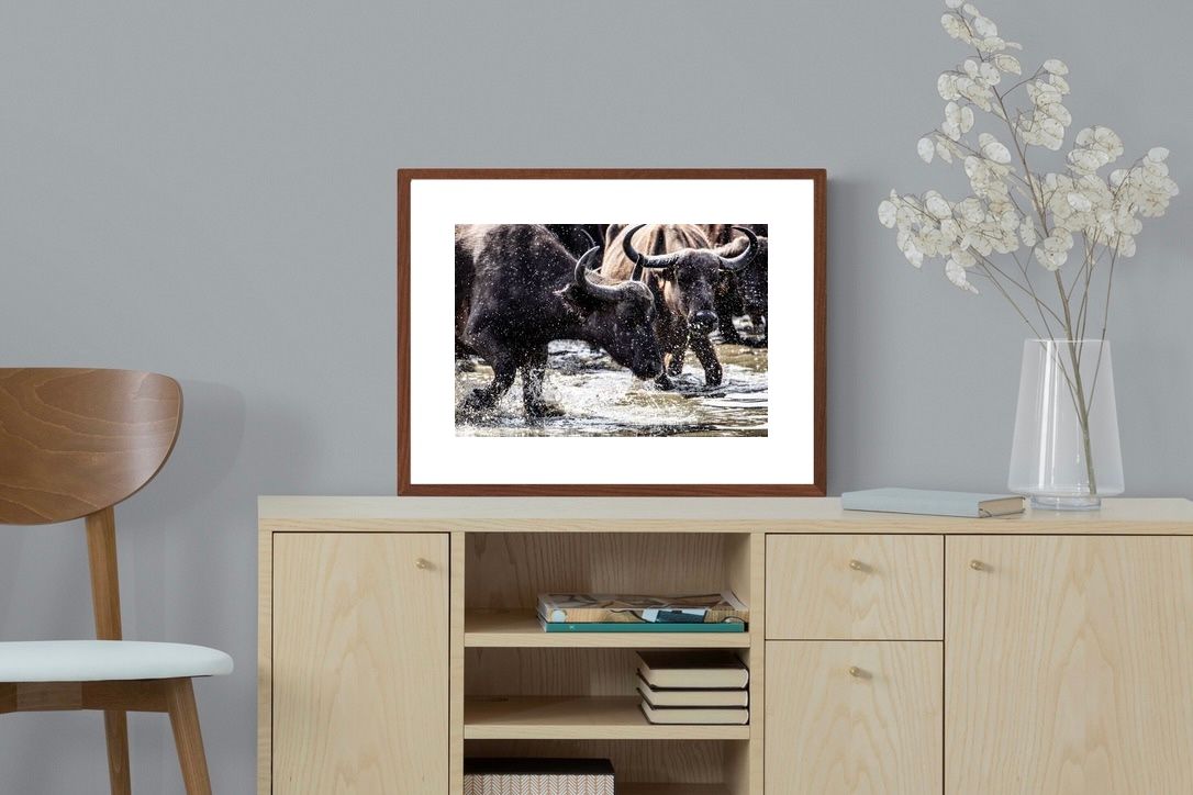 Pixalot Buffalo Splash