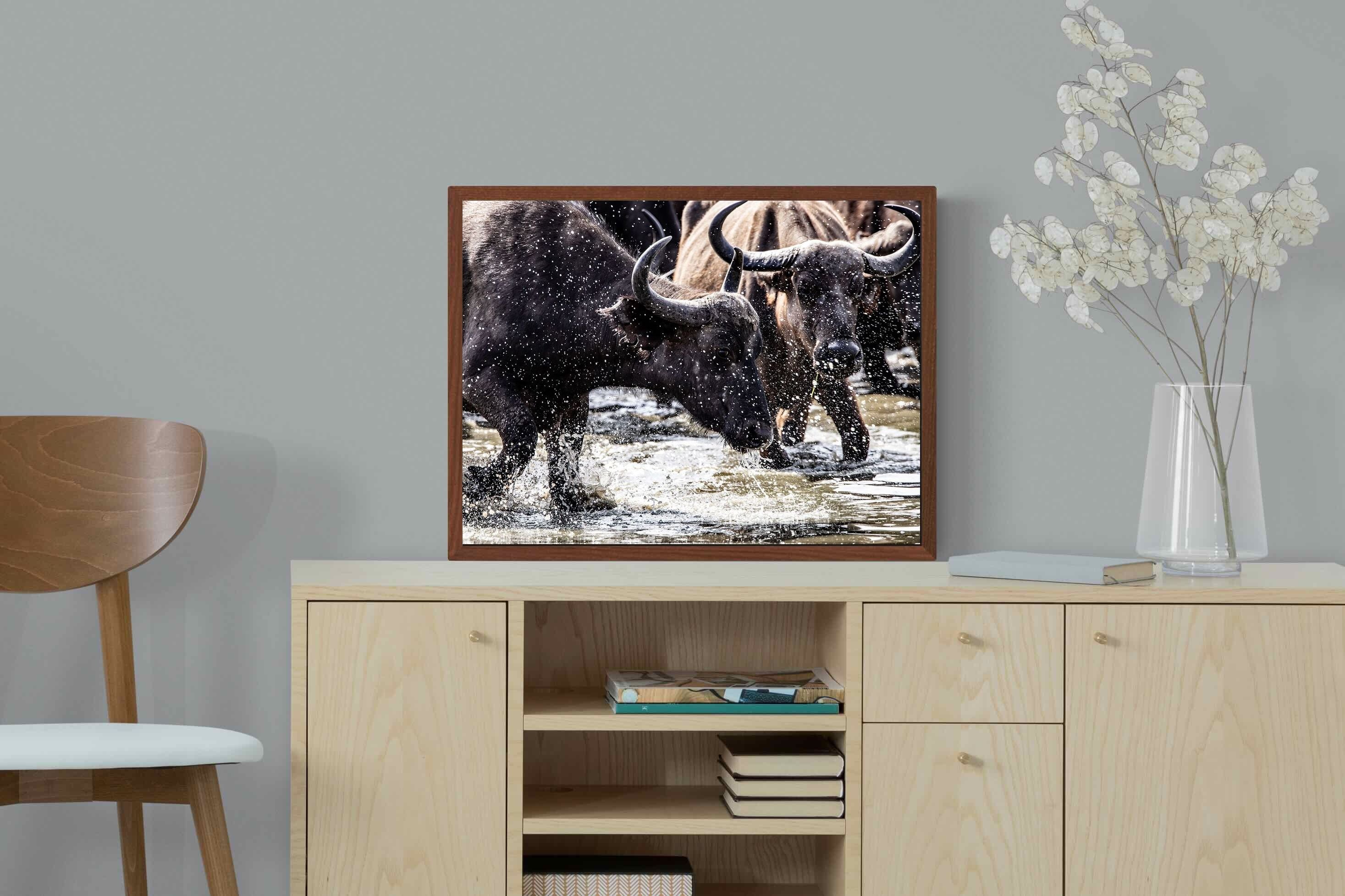 Pixalot Buffalo Splash