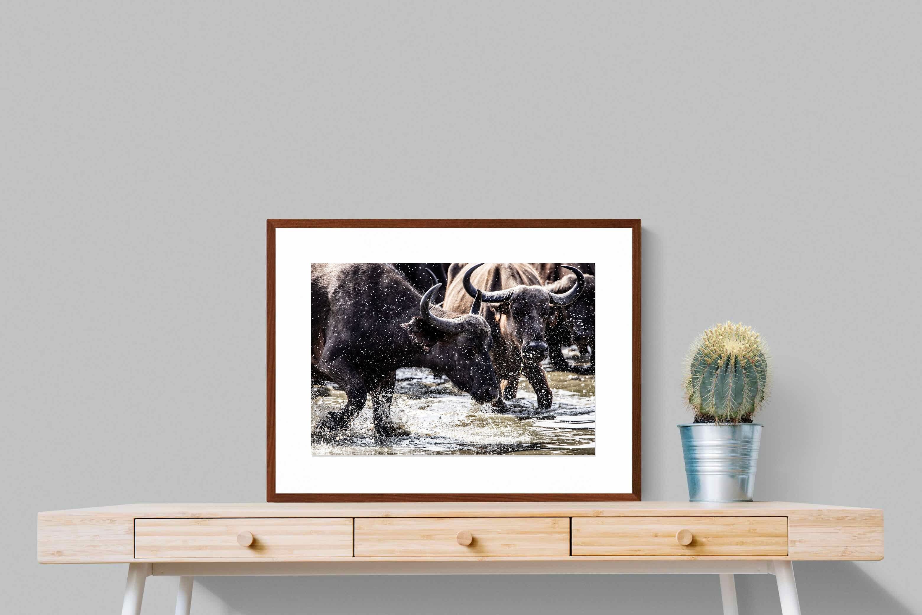 Pixalot Buffalo Splash