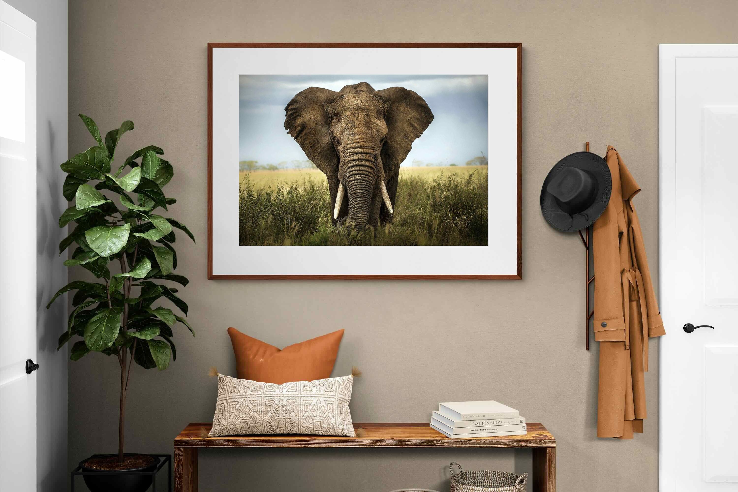 Pixalot ® Bull Elephant