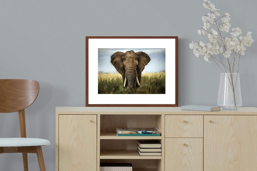 Pixalot ® Bull Elephant