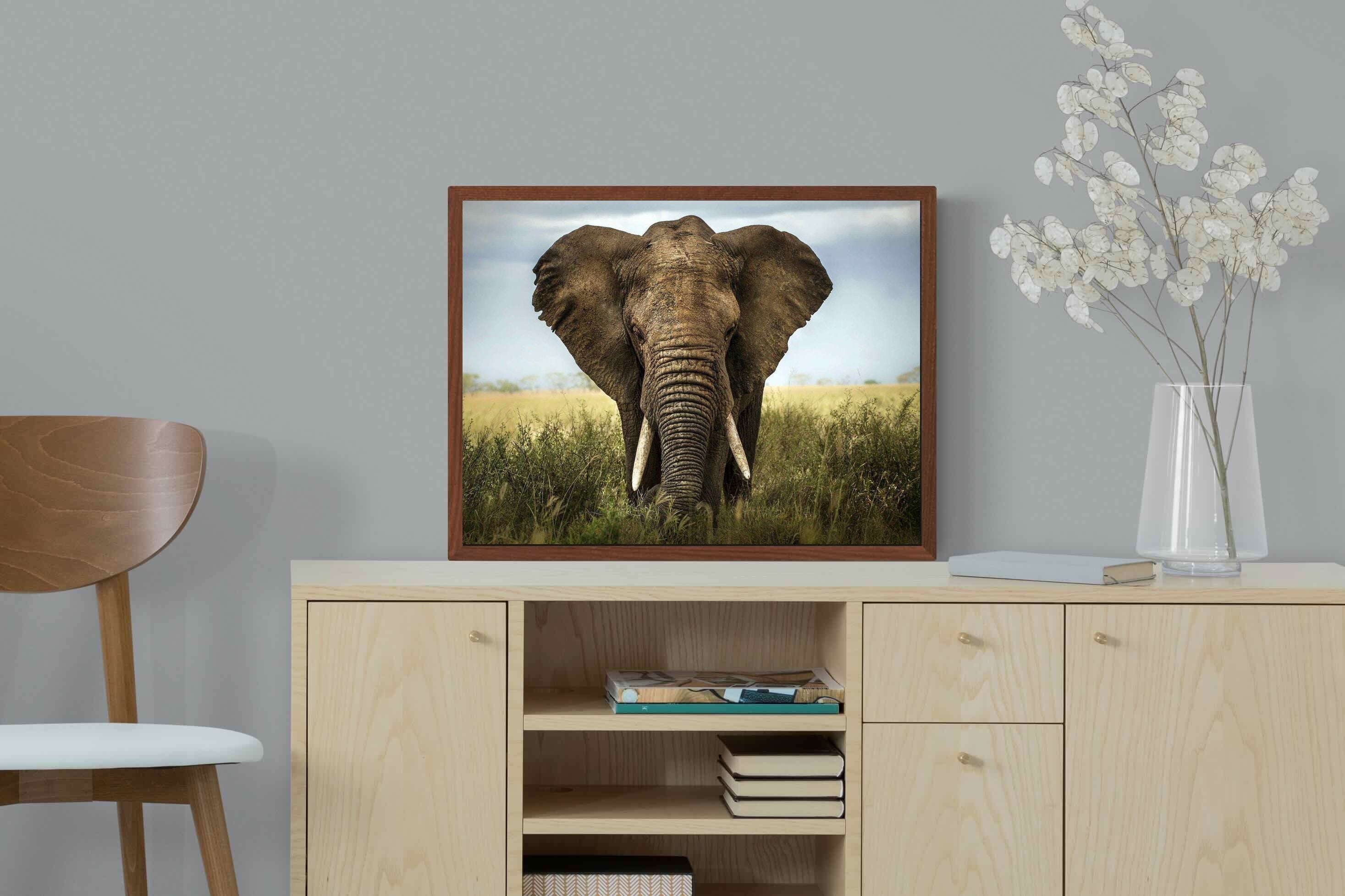 Pixalot ® Bull Elephant