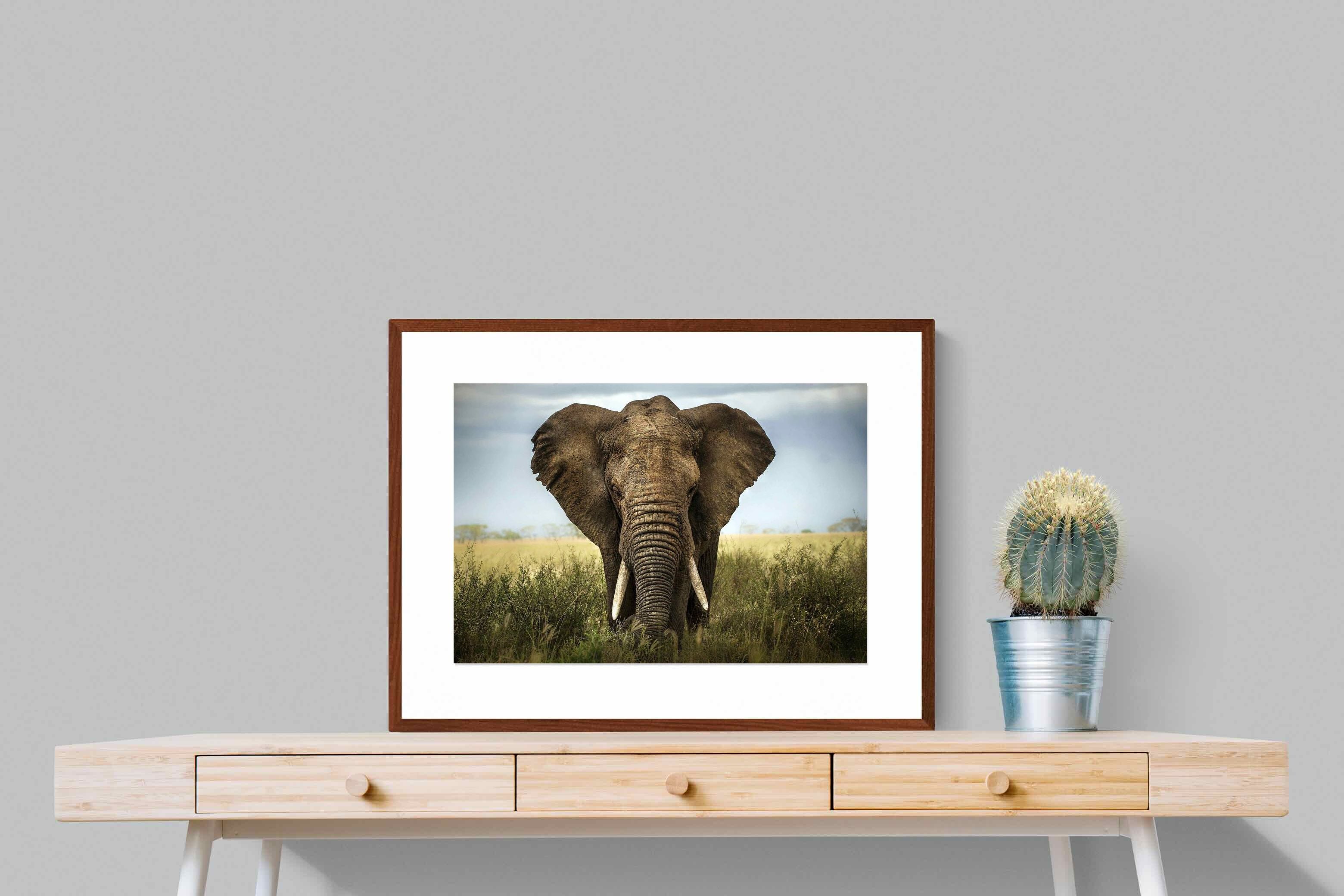 Pixalot ® Bull Elephant
