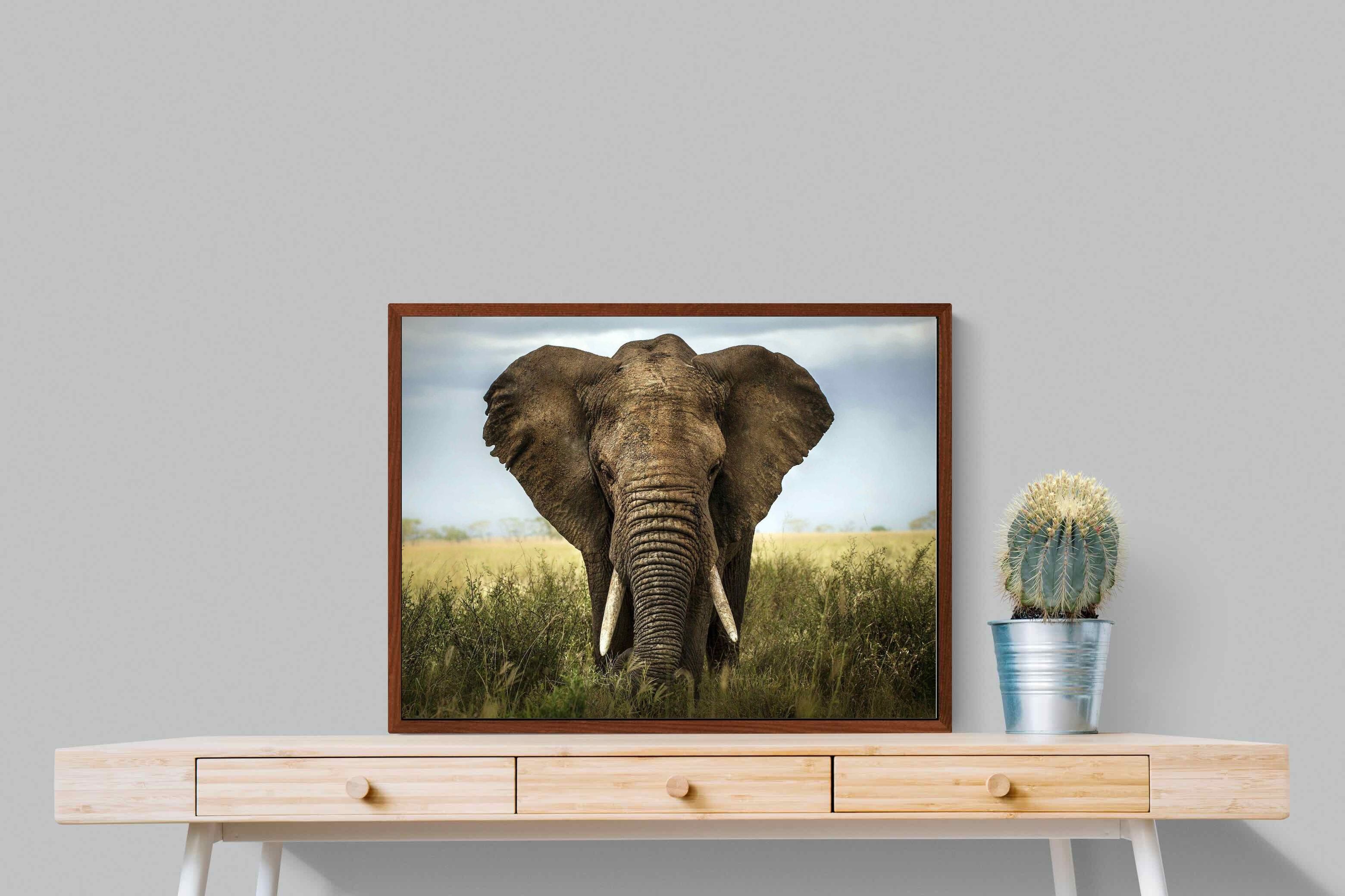 Pixalot ® Bull Elephant