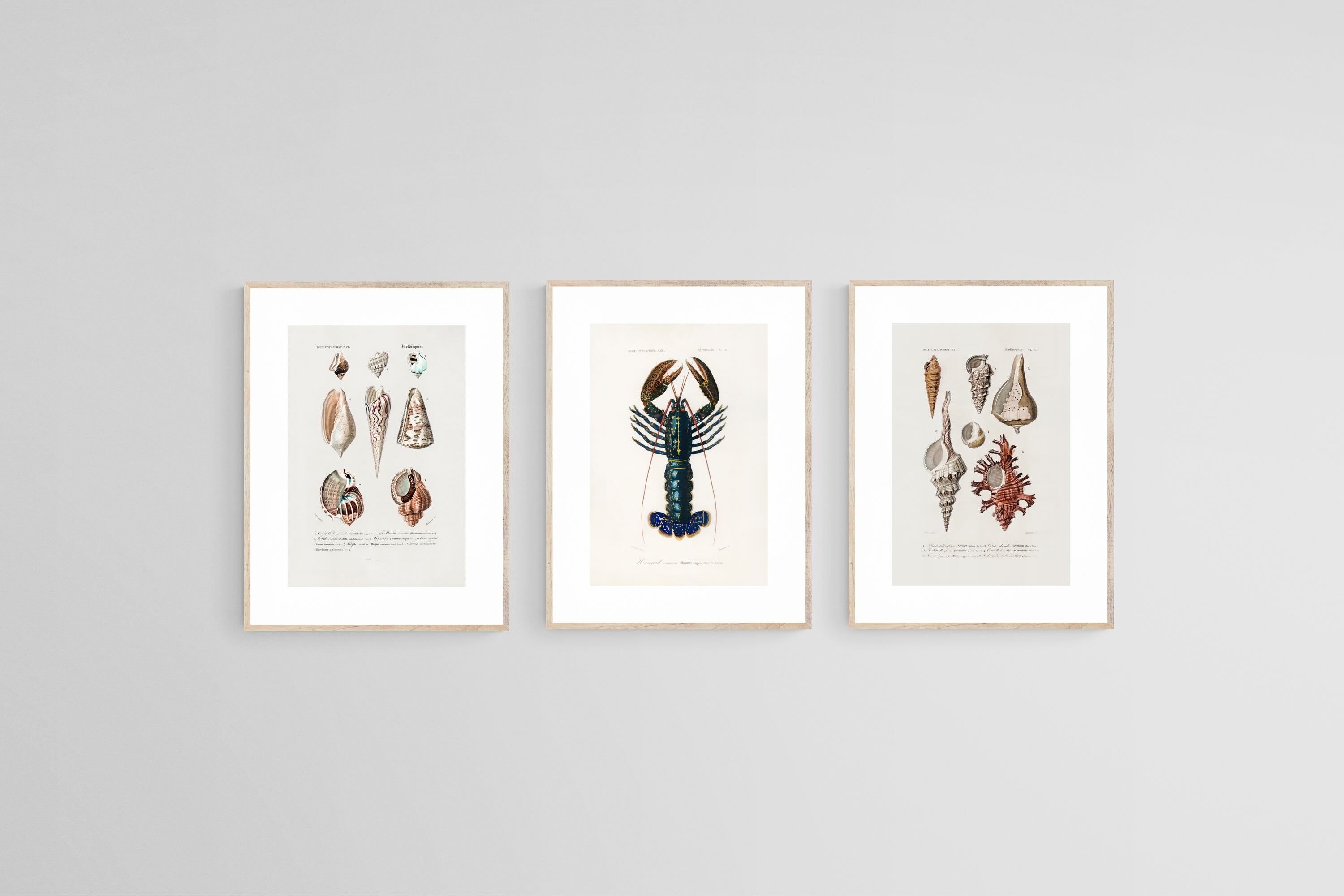 Cabinet of the Coast Set