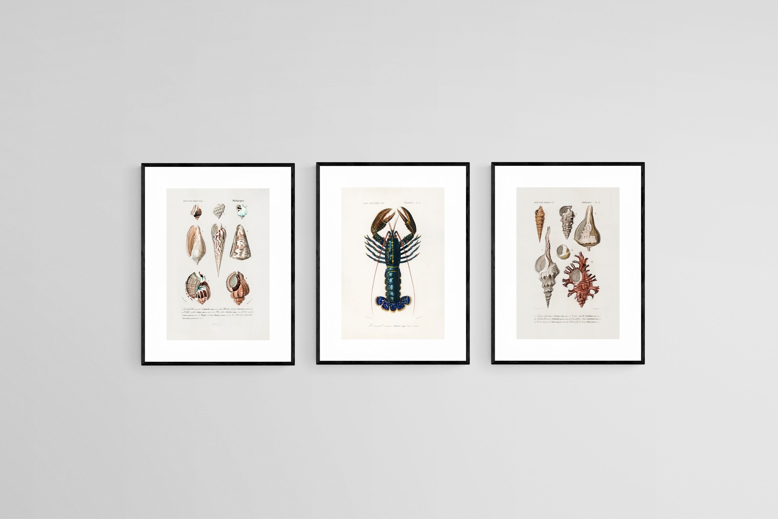 Cabinet of the Coast Set