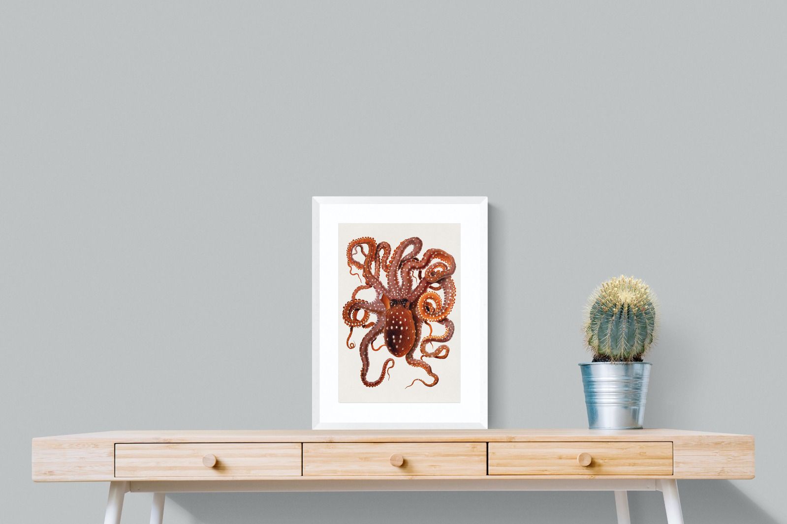 Pixalot Callistoctopus Macropus