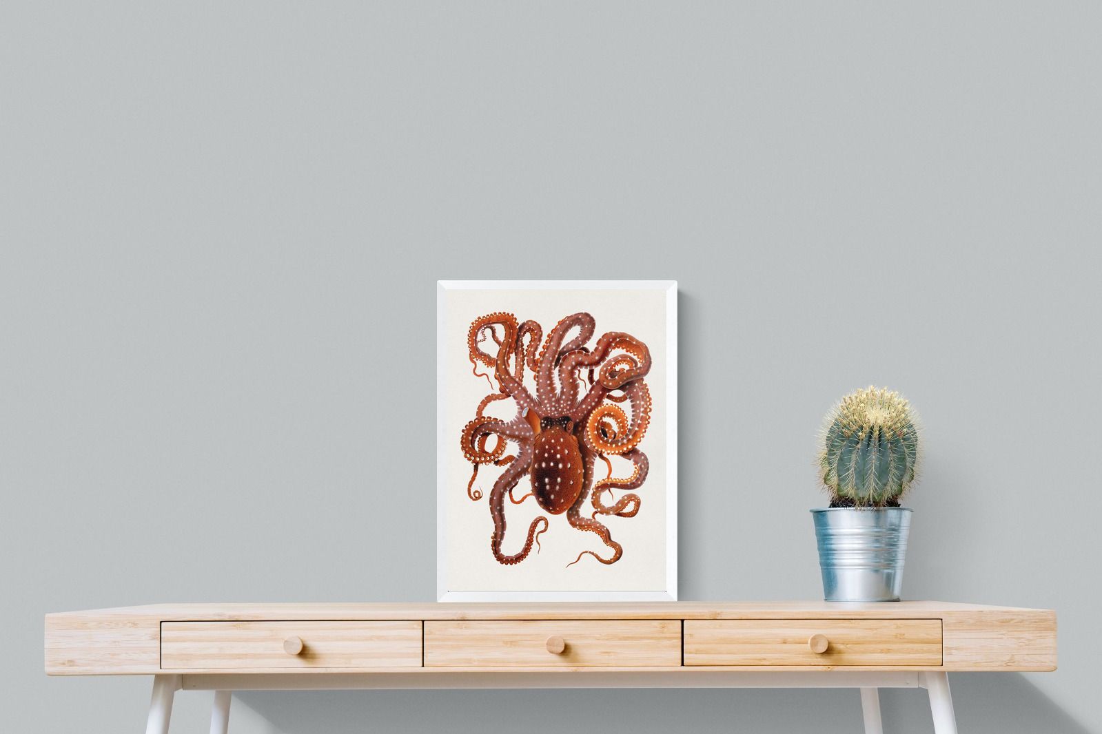 Pixalot Callistoctopus Macropus