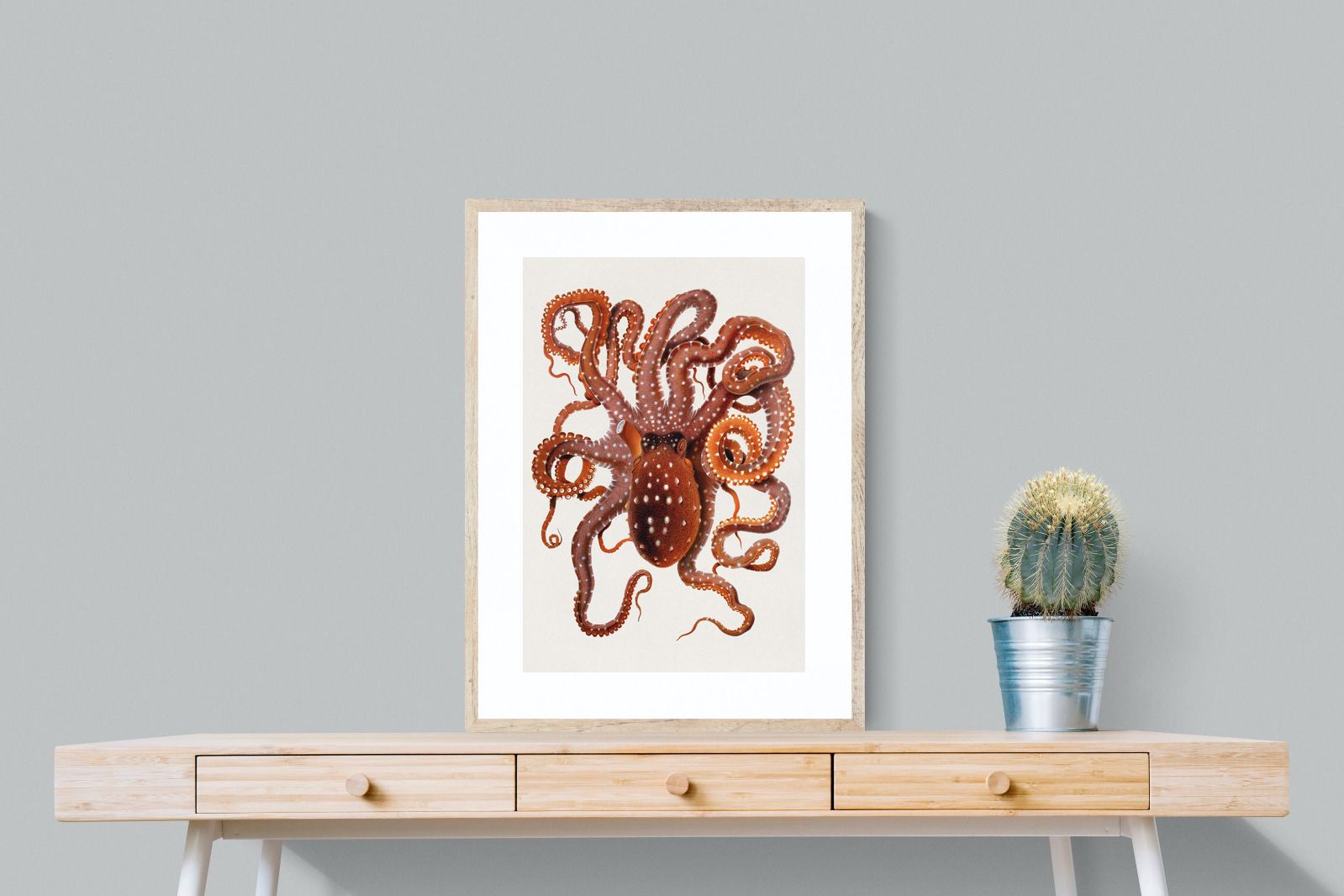 Pixalot Callistoctopus Macropus