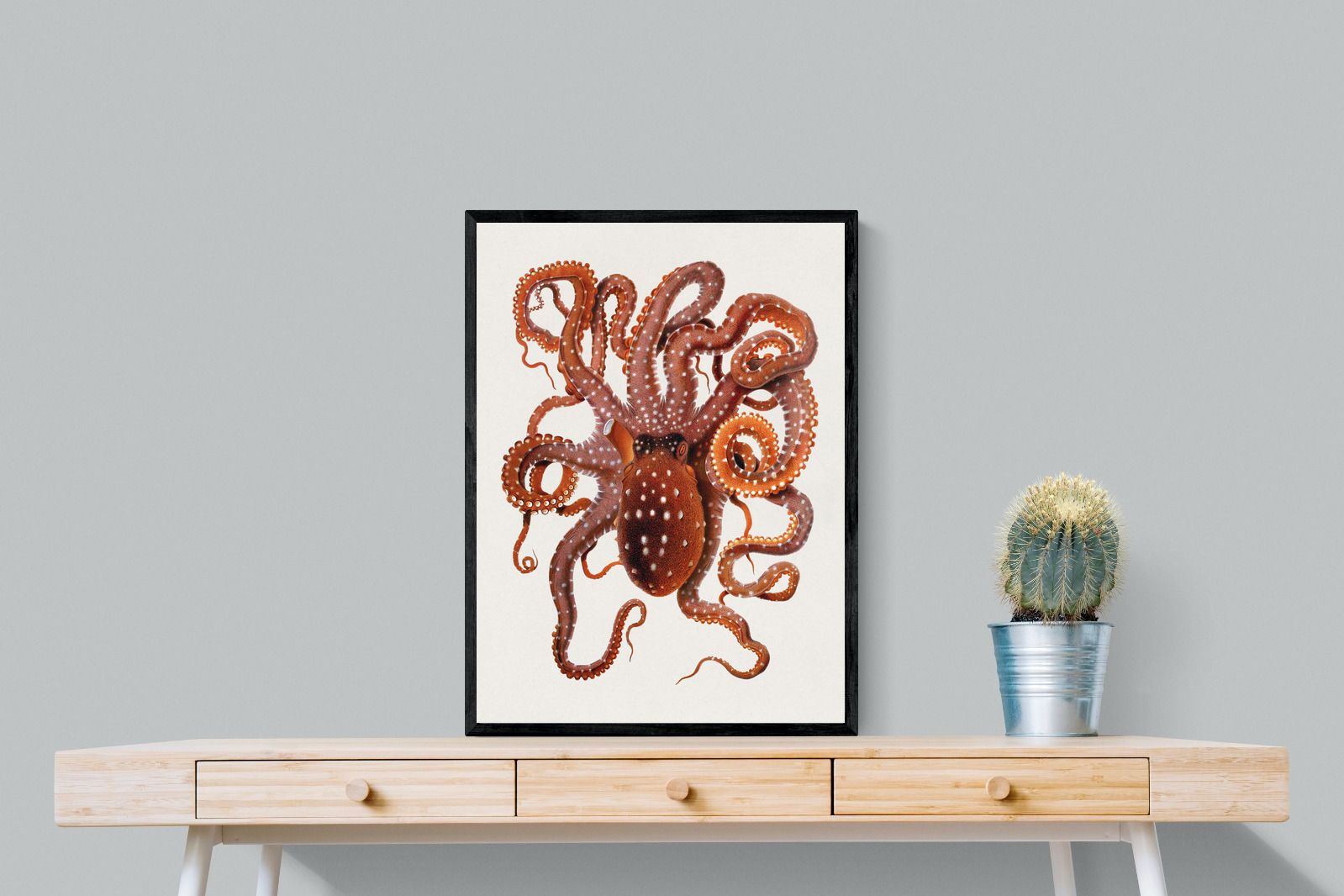 Pixalot Callistoctopus Macropus