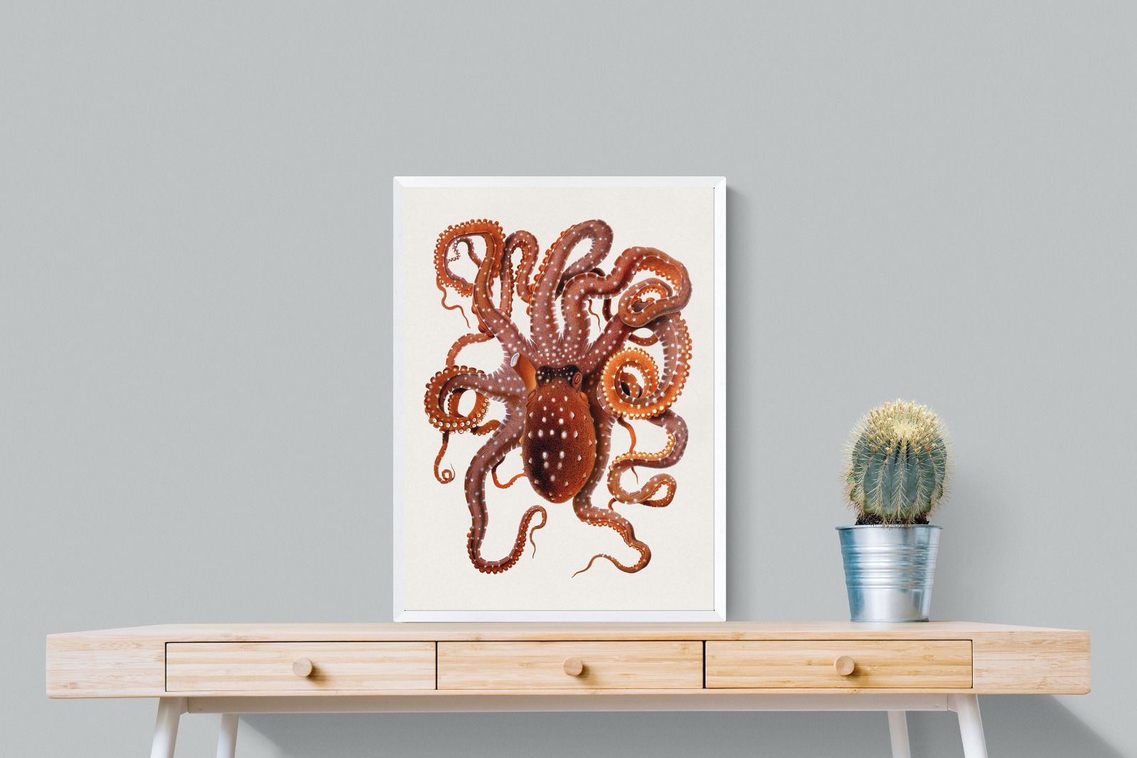 Pixalot Callistoctopus Macropus