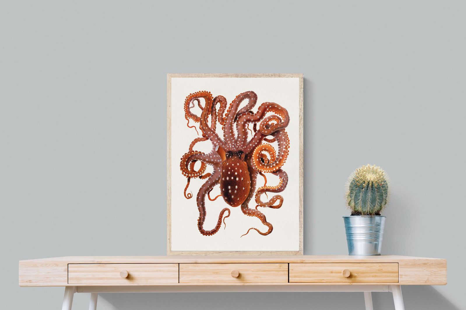 Pixalot Callistoctopus Macropus